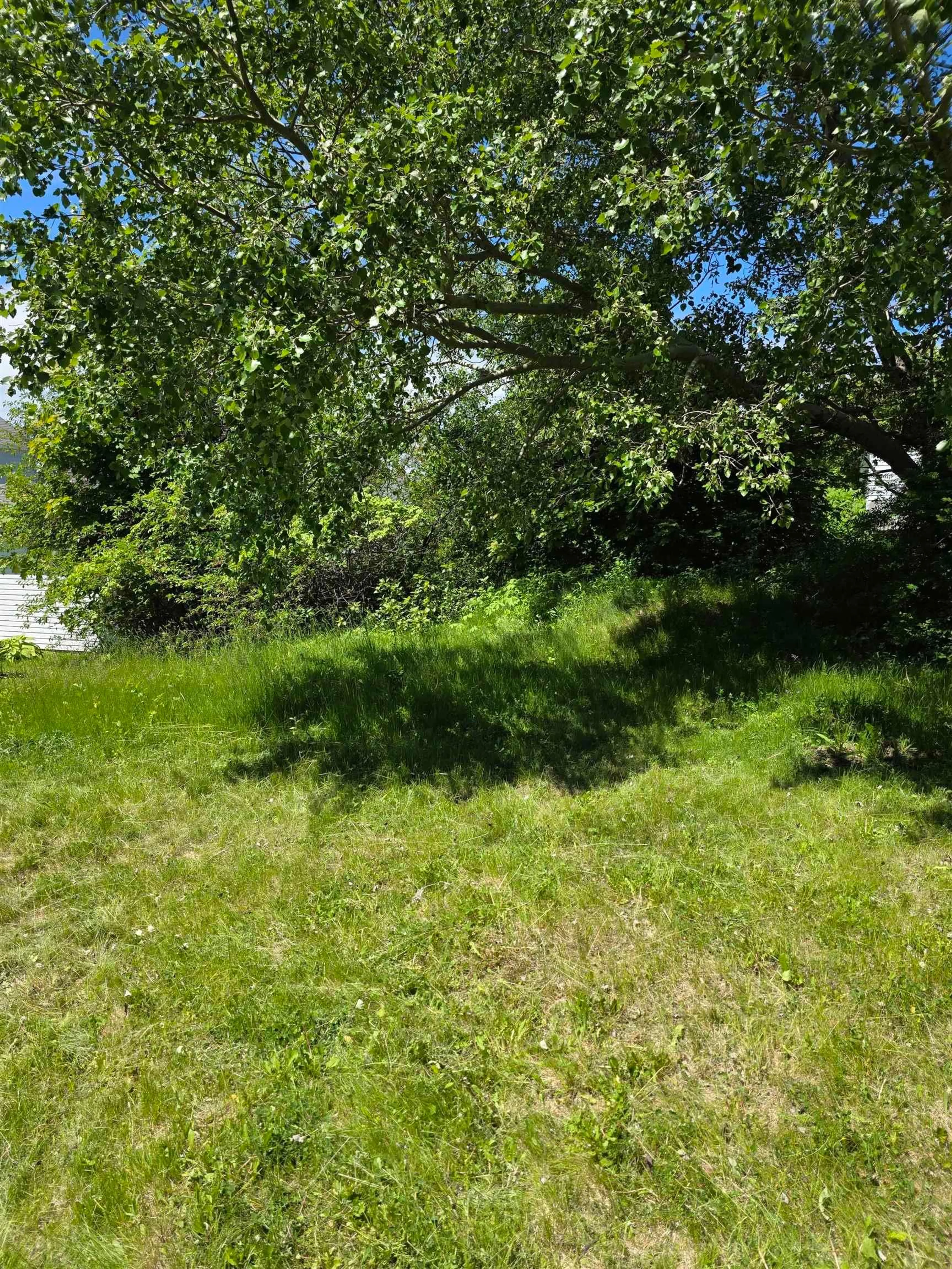 A pic from outside/outdoor area/front of a property/back of a property/a pic from drone, forest/trees view for 73 Taylor St, Sydney Nova Scotia B1N 2W5