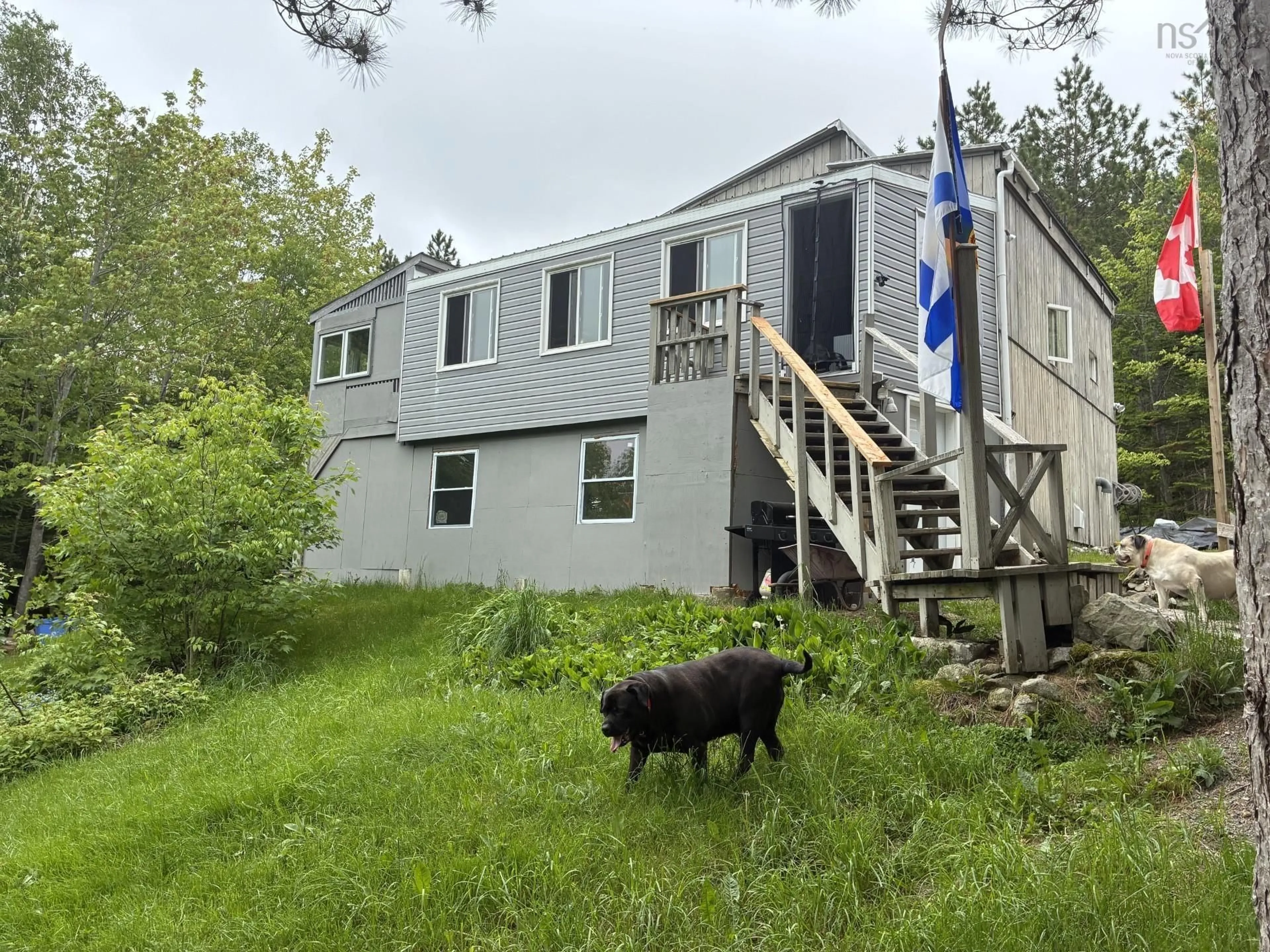 A pic from outside/outdoor area/front of a property/back of a property/a pic from drone, building for 837 Meadow Rd, North River Nova Scotia B0E 1B0