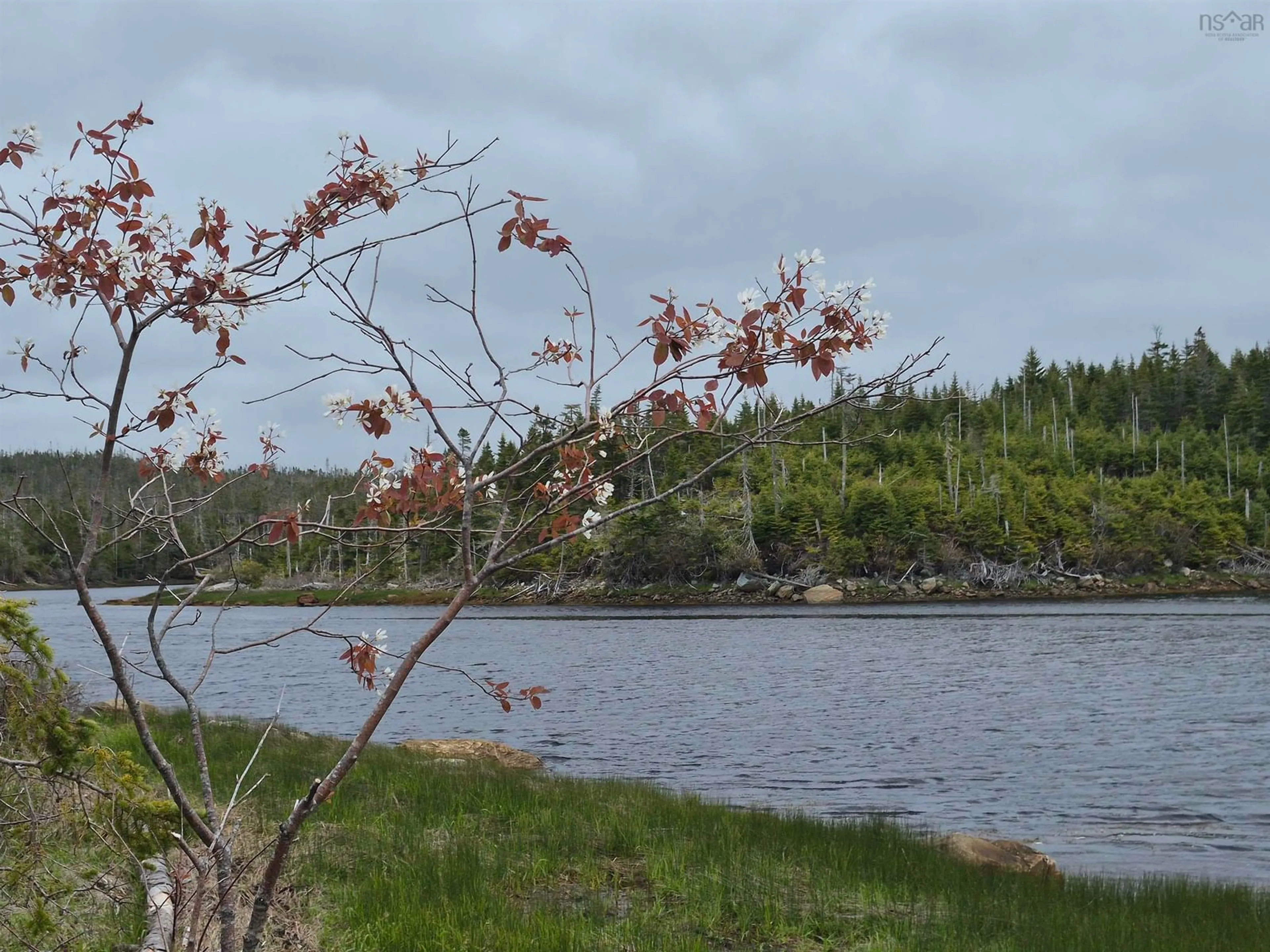 Blurry image for 2618 Highway 7, Liscomb Nova Scotia B0J 2A0
