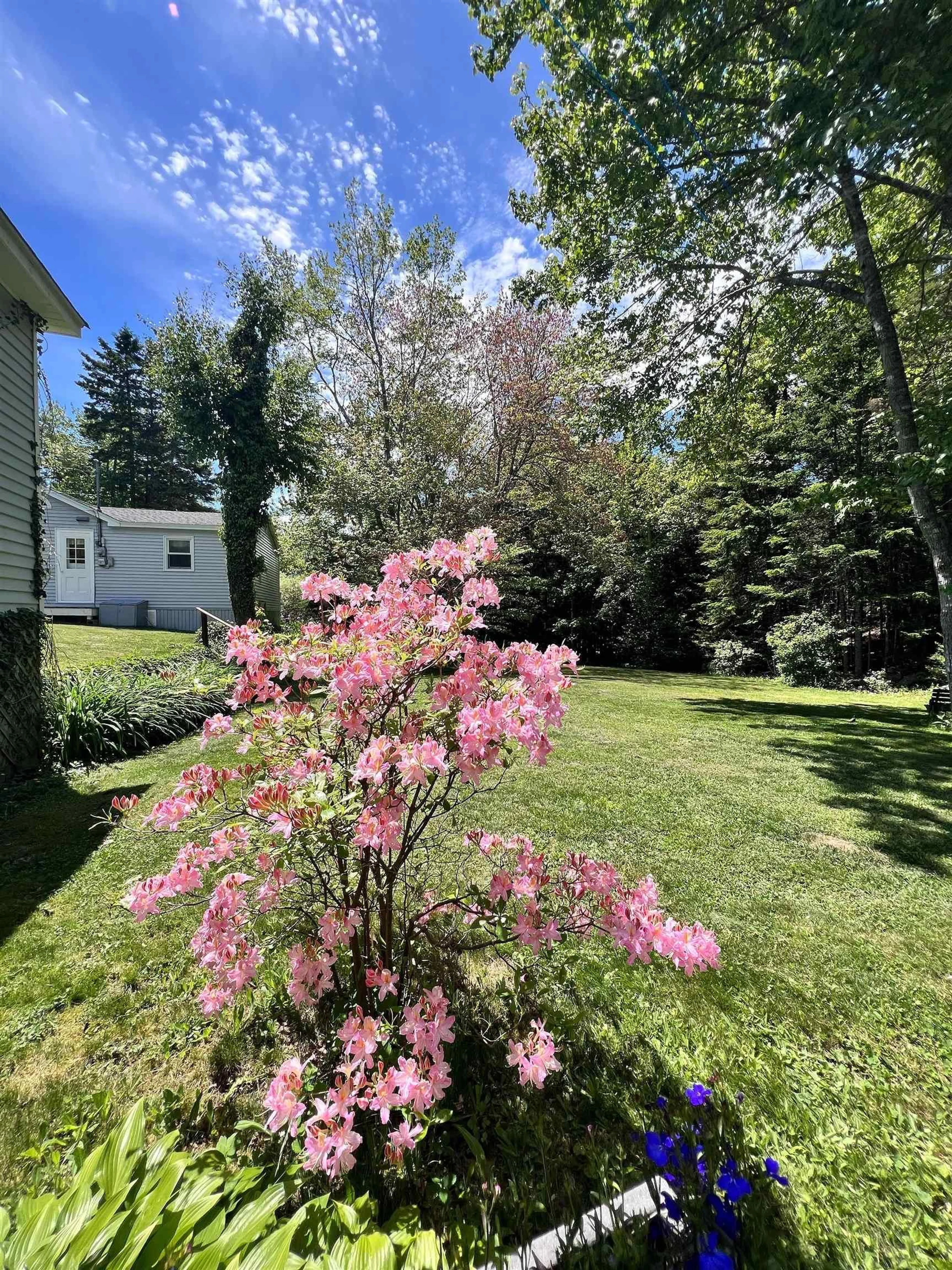 A pic from outside/outdoor area/front of a property/back of a property/a pic from drone, unknown for 10133 St Margarets Bay Rd, Hubbards Nova Scotia B0J 1T0