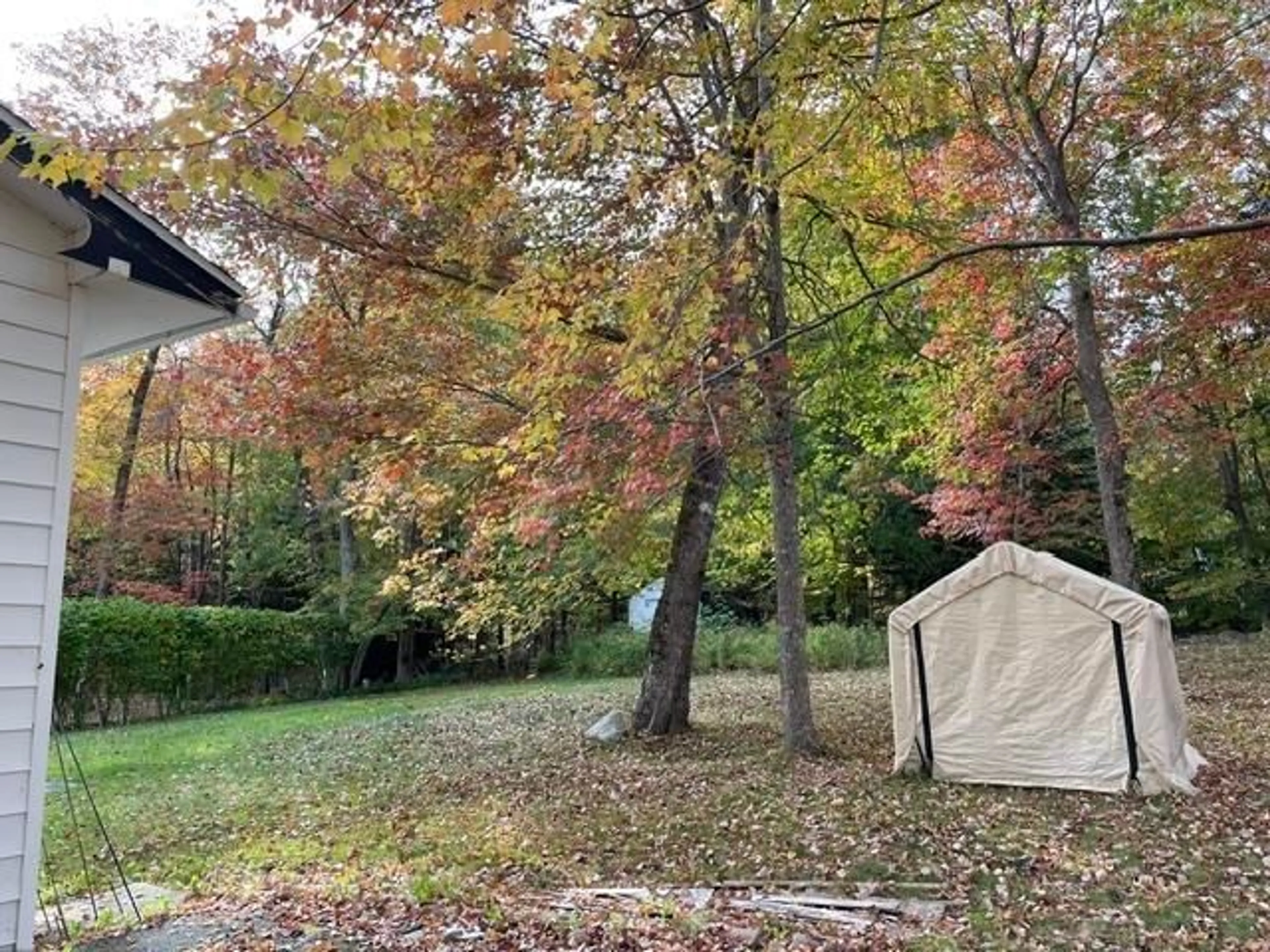 Shed for 260 Lockview Rd, Fall River Nova Scotia B2T 1J1
