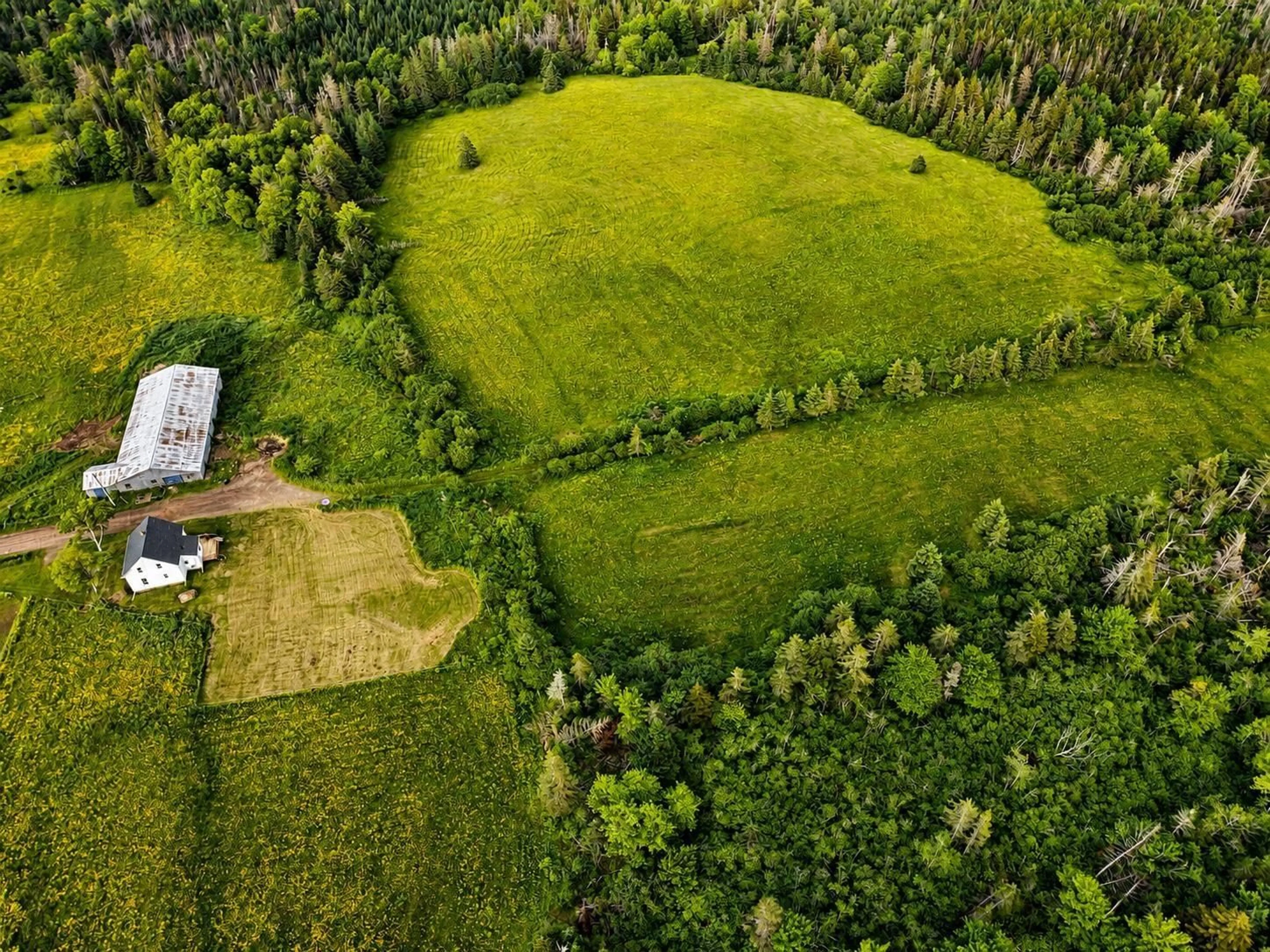 A pic from outside/outdoor area/front of a property/back of a property/a pic from drone, forest/trees view for 98 Archibald Rd, Harmony Nova Scotia B6L 3A6