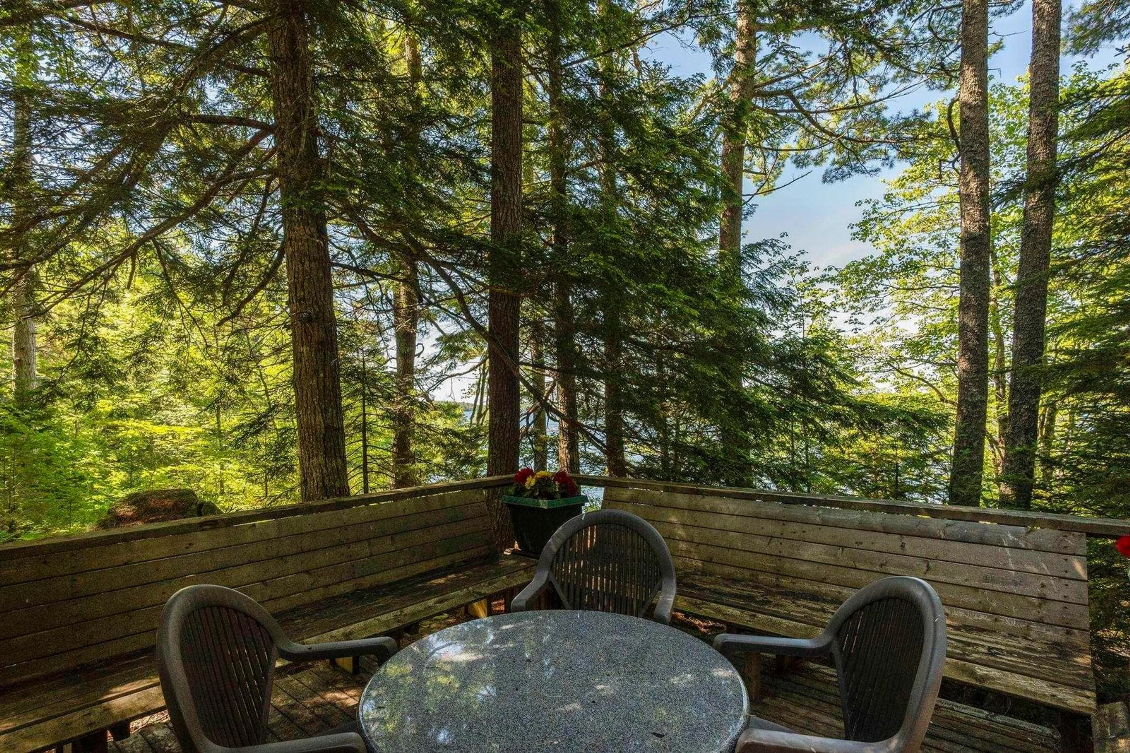 Patio, forest/trees view for 207 Middle Fork Rd, Sherbrooke Lake Nova Scotia B0J 2M0