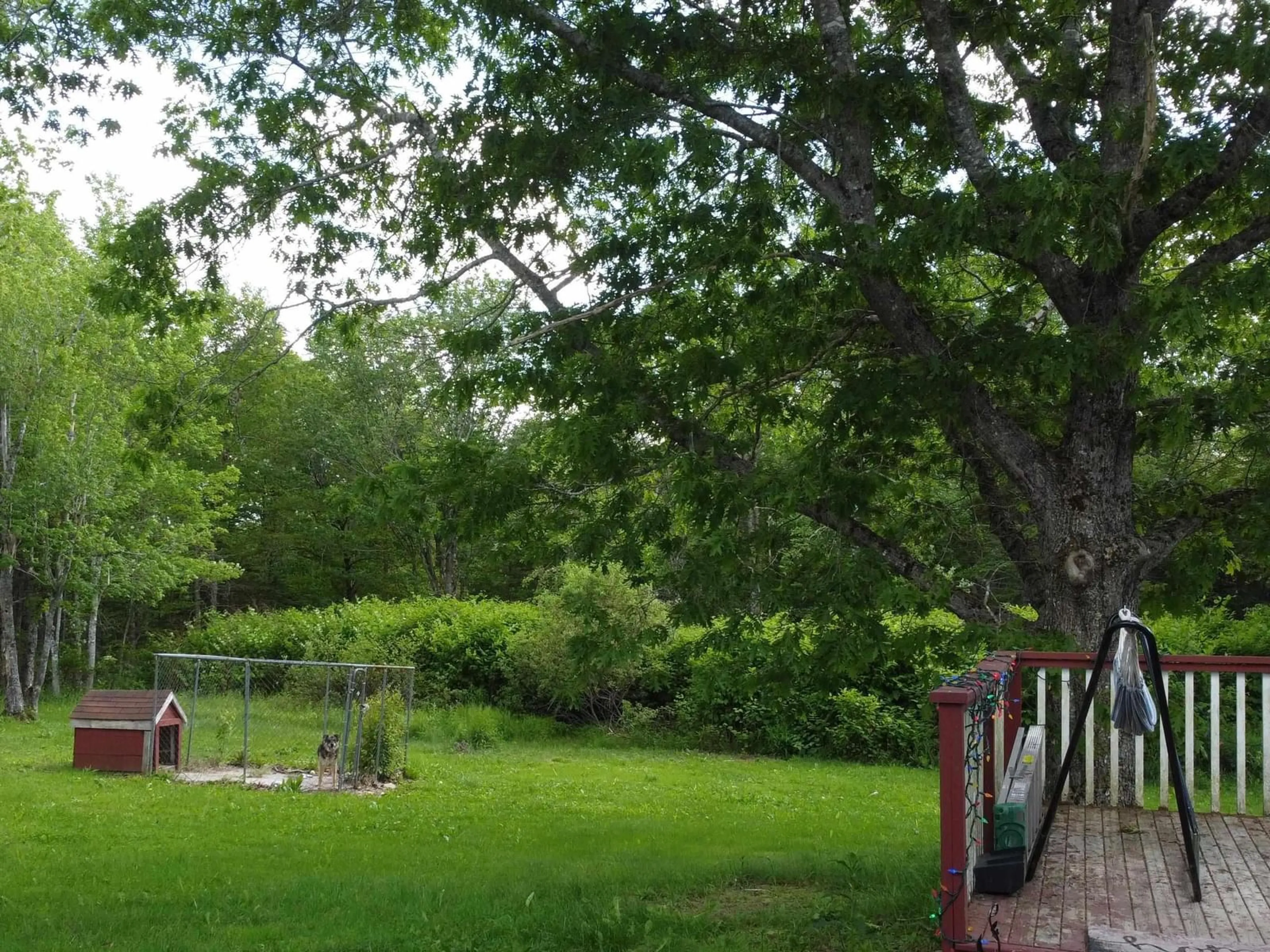 Patio, forest/trees view for 7770 Highway 1, Ellershouse Nova Scotia B0N 1L0