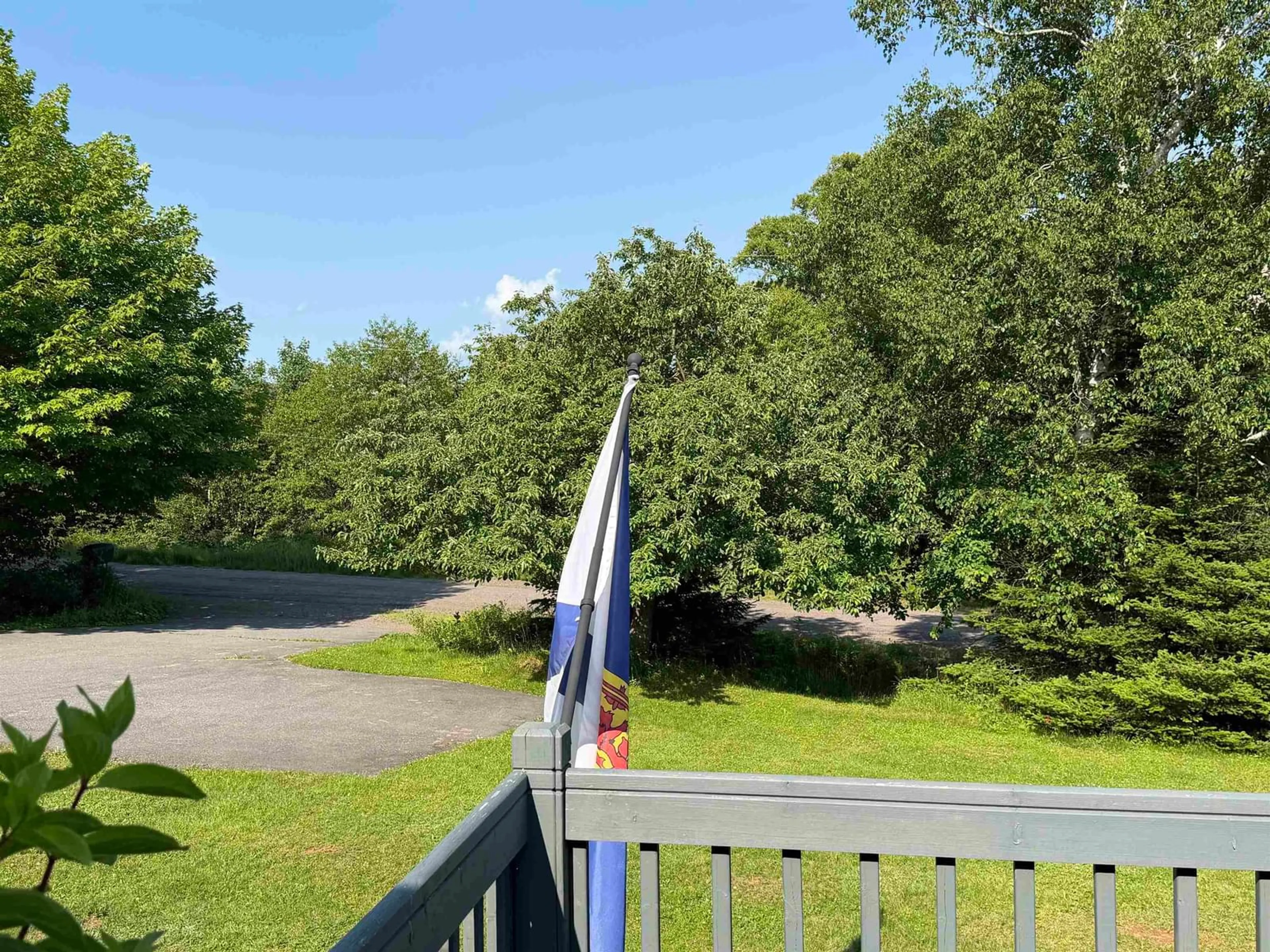 A pic from outside/outdoor area/front of a property/back of a property/a pic from drone, forest/trees view for 238 Soley Cove Rd, Lower Economy Nova Scotia B0M 1B0