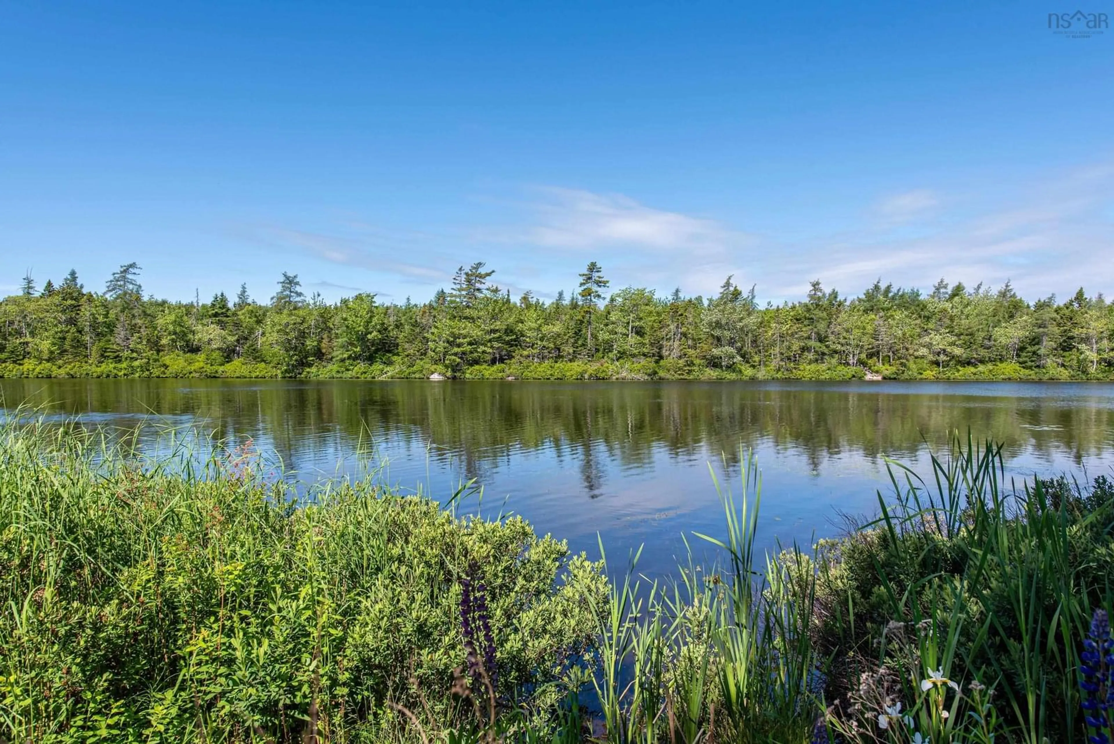 Pool for 46 Silver Maple Dr, Timberlea Nova Scotia B3T 1G6