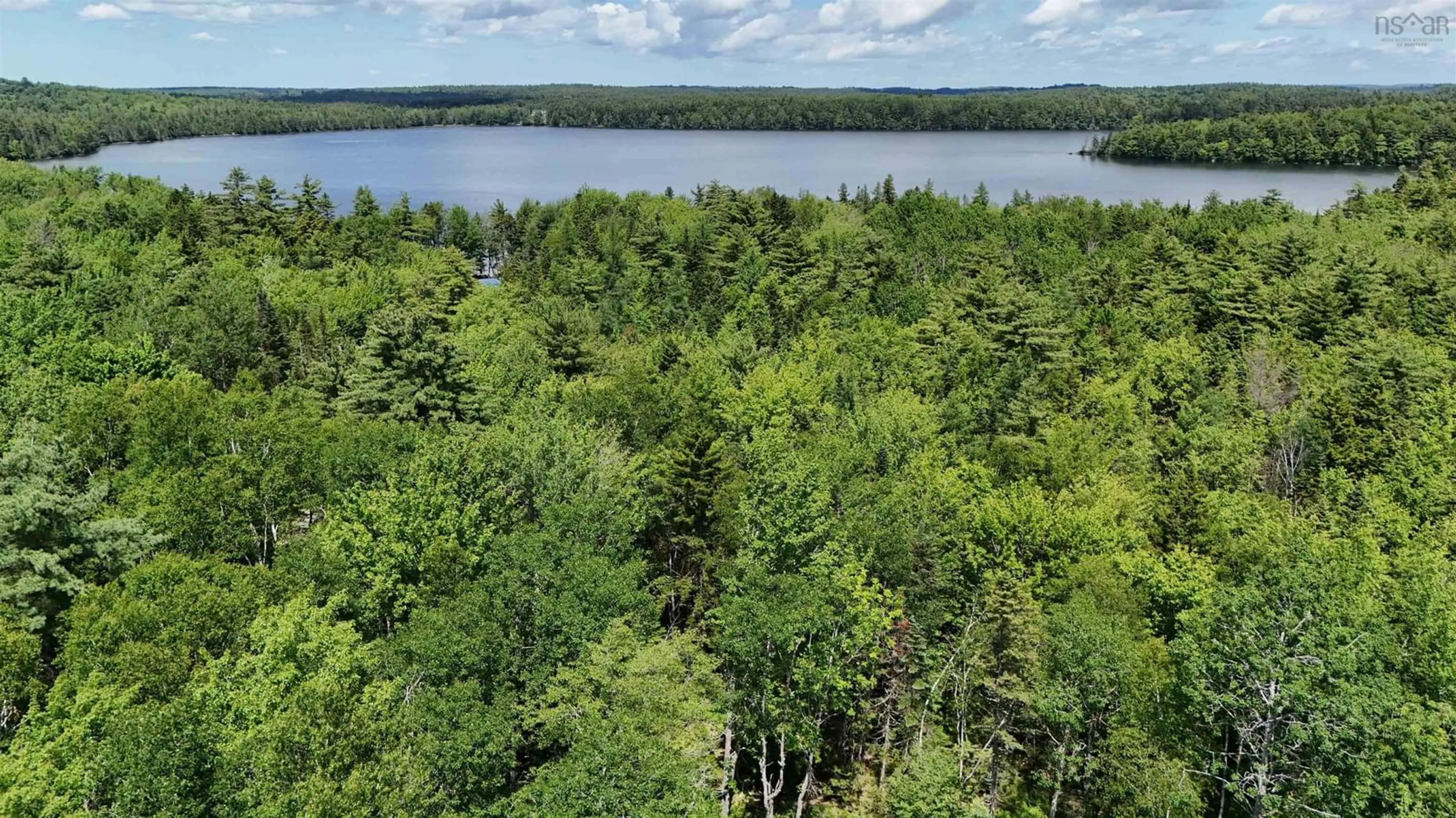 A pic from outside/outdoor area/front of a property/back of a property/a pic from drone, water/lake/river/ocean view for 7 Ernest Marion Dr, Laconia Nova Scotia B4V 5W1
