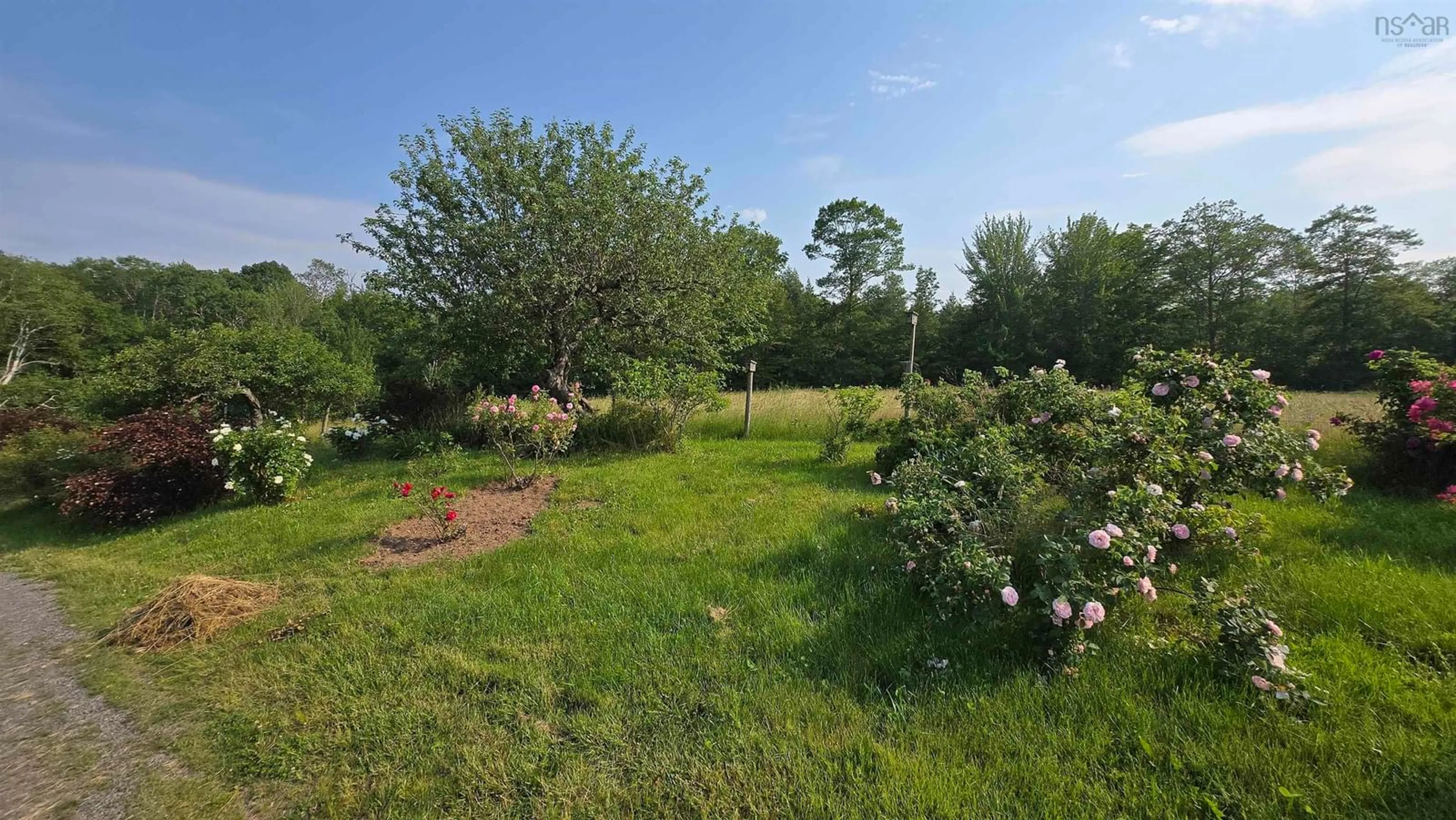 A pic from outside/outdoor area/front of a property/back of a property/a pic from drone, forest/trees view for 227 Landry Lane, Upper Falmouth Nova Scotia B0P 1P0