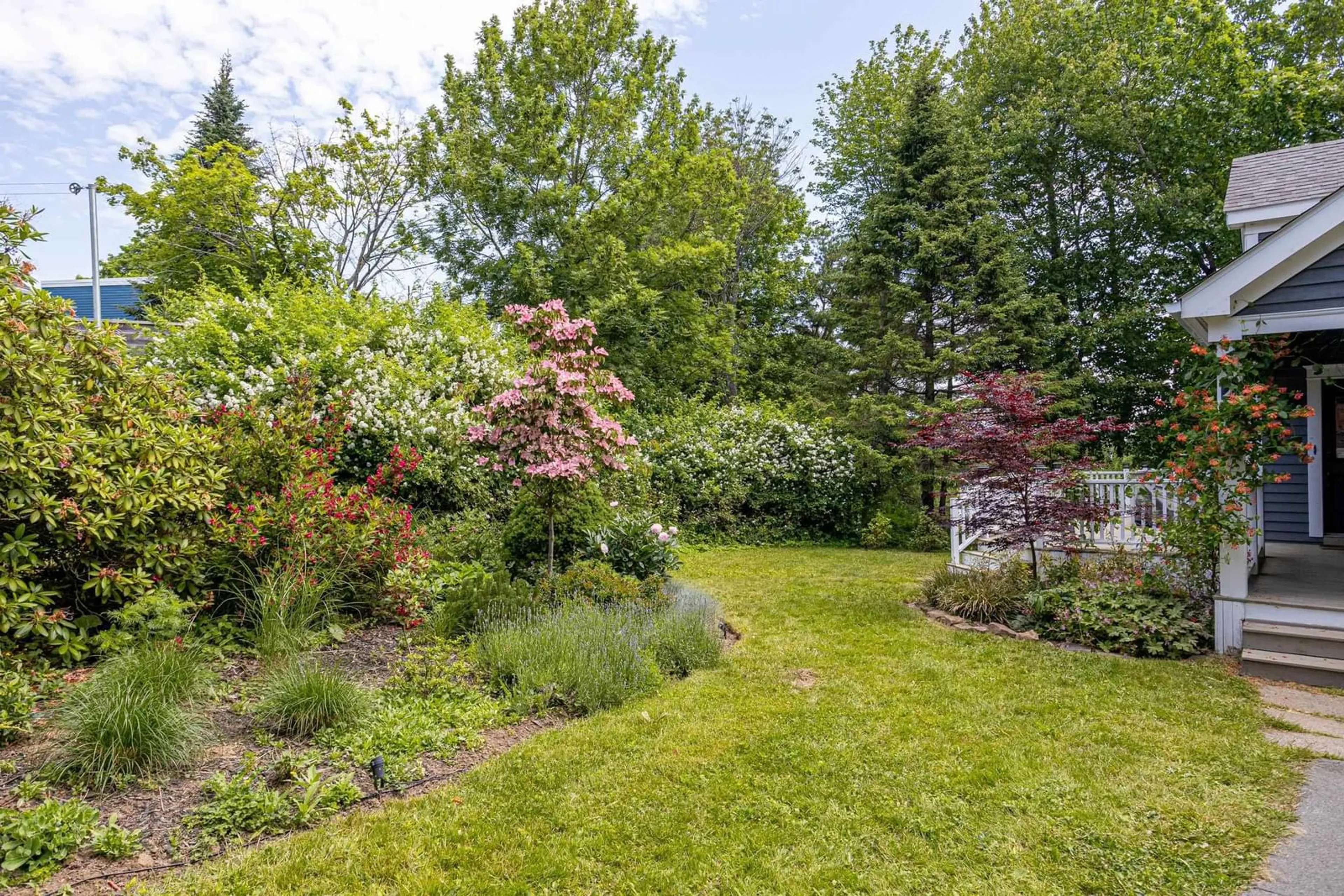 Patio, forest/trees view for 2 Fenwood Rd, Halifax Nova Scotia B3N 1G8