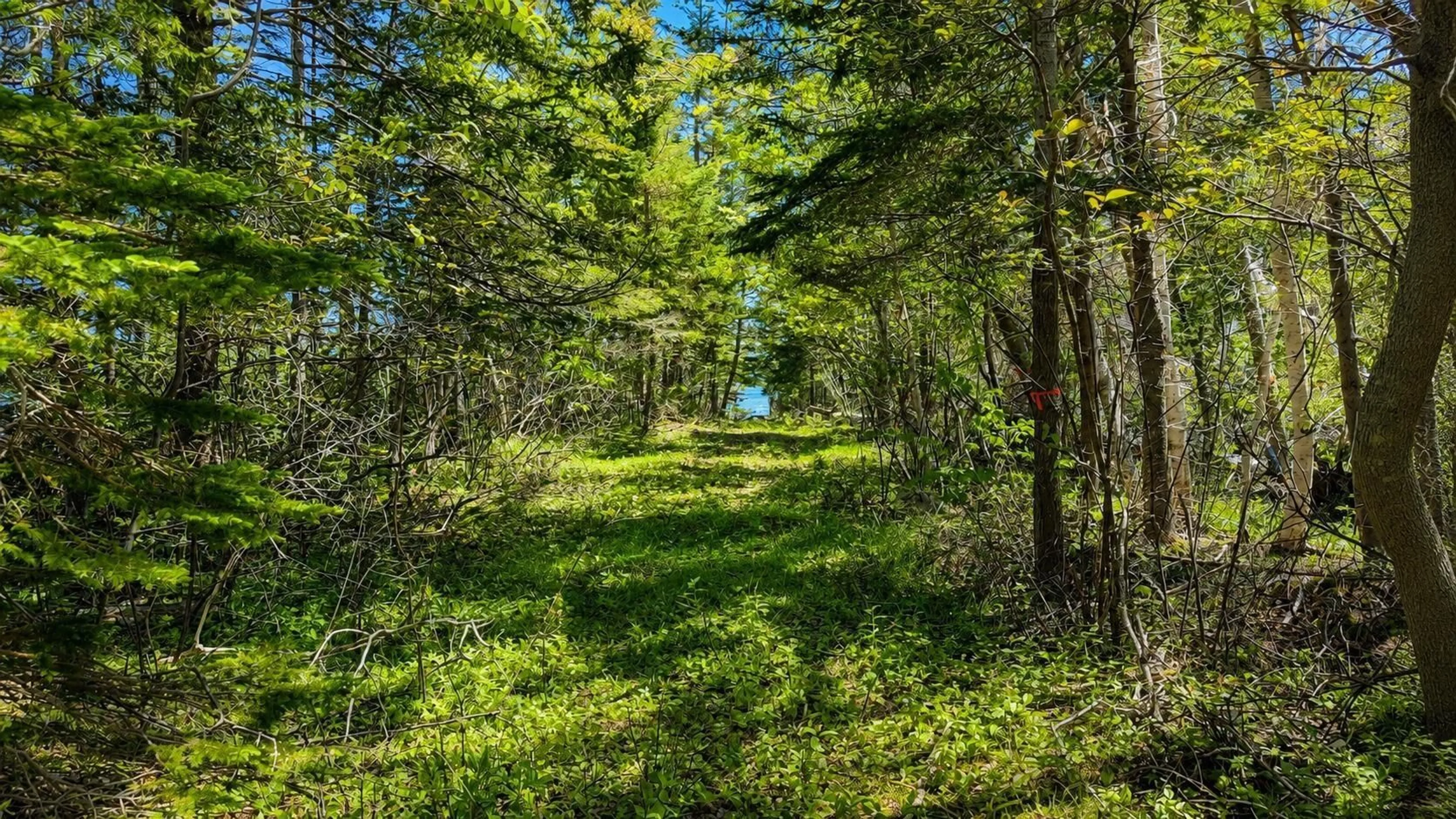 Unknown for 3539 Highway 255, Black Brook Nova Scotia B1B 1T7