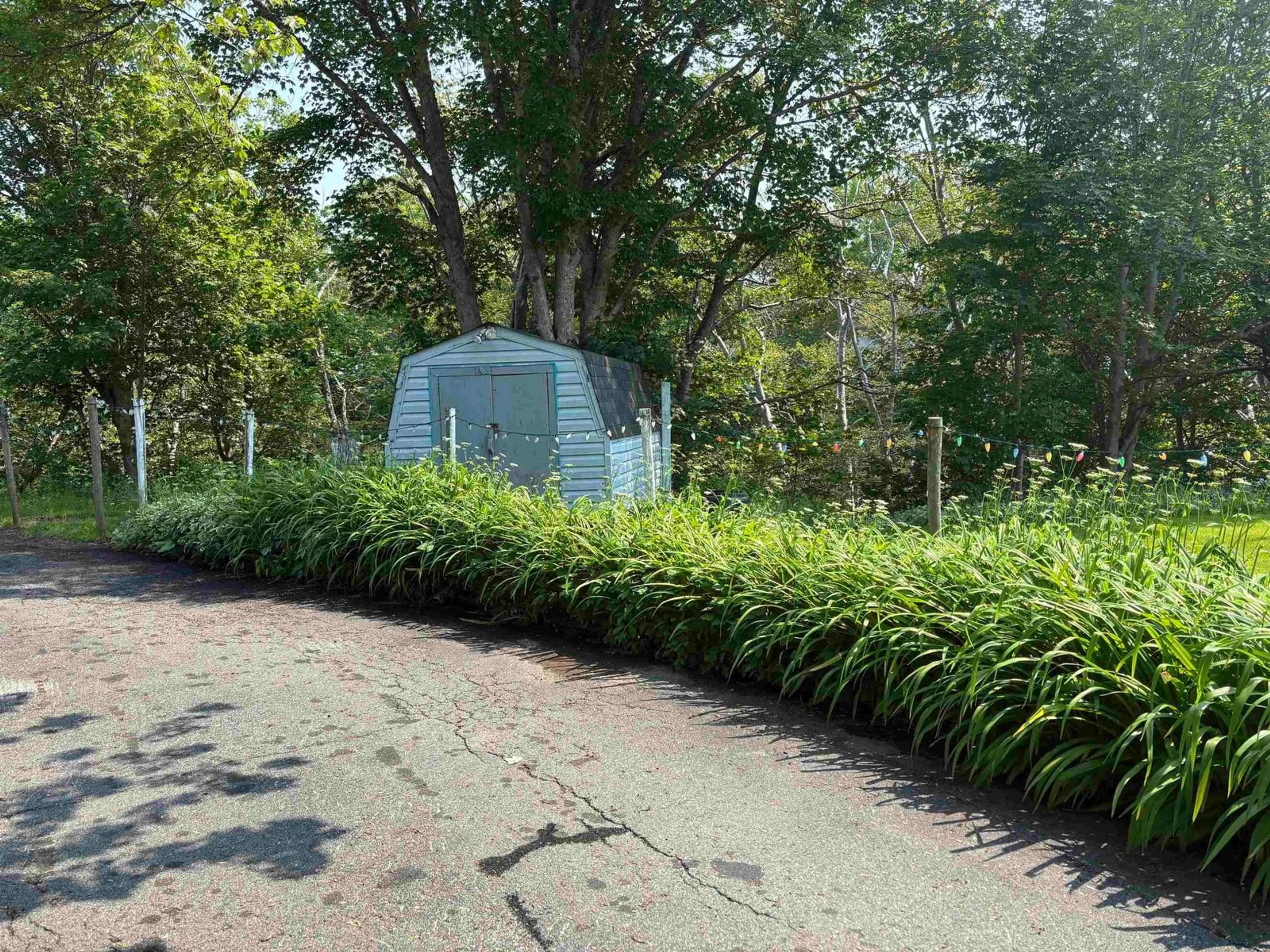 Shed for 128 Regent St., North Sydney Nova Scotia B2A 2G5