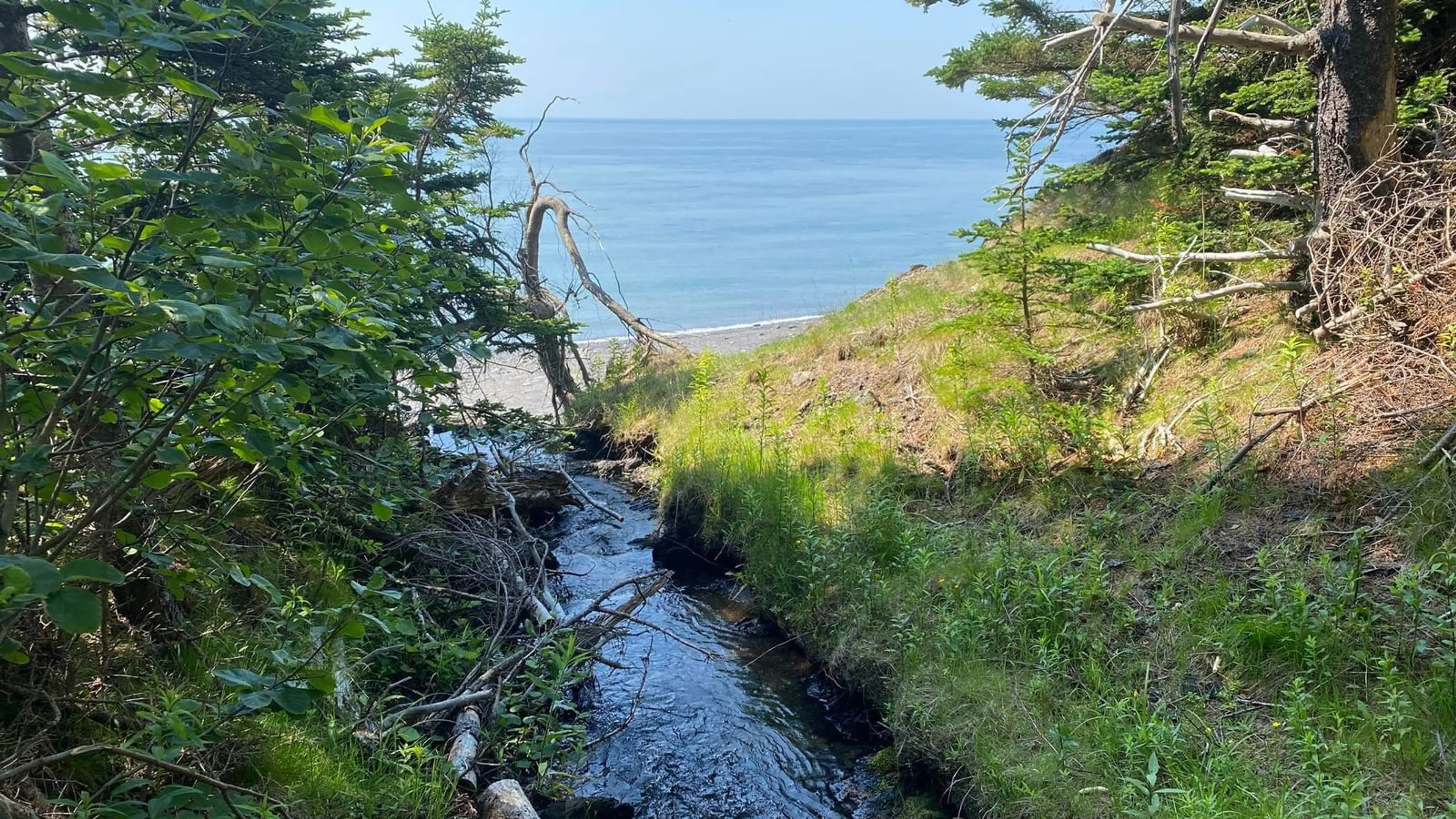 Unknown for 7138 Highway 209, Port Greville Nova Scotia B0M 1S0