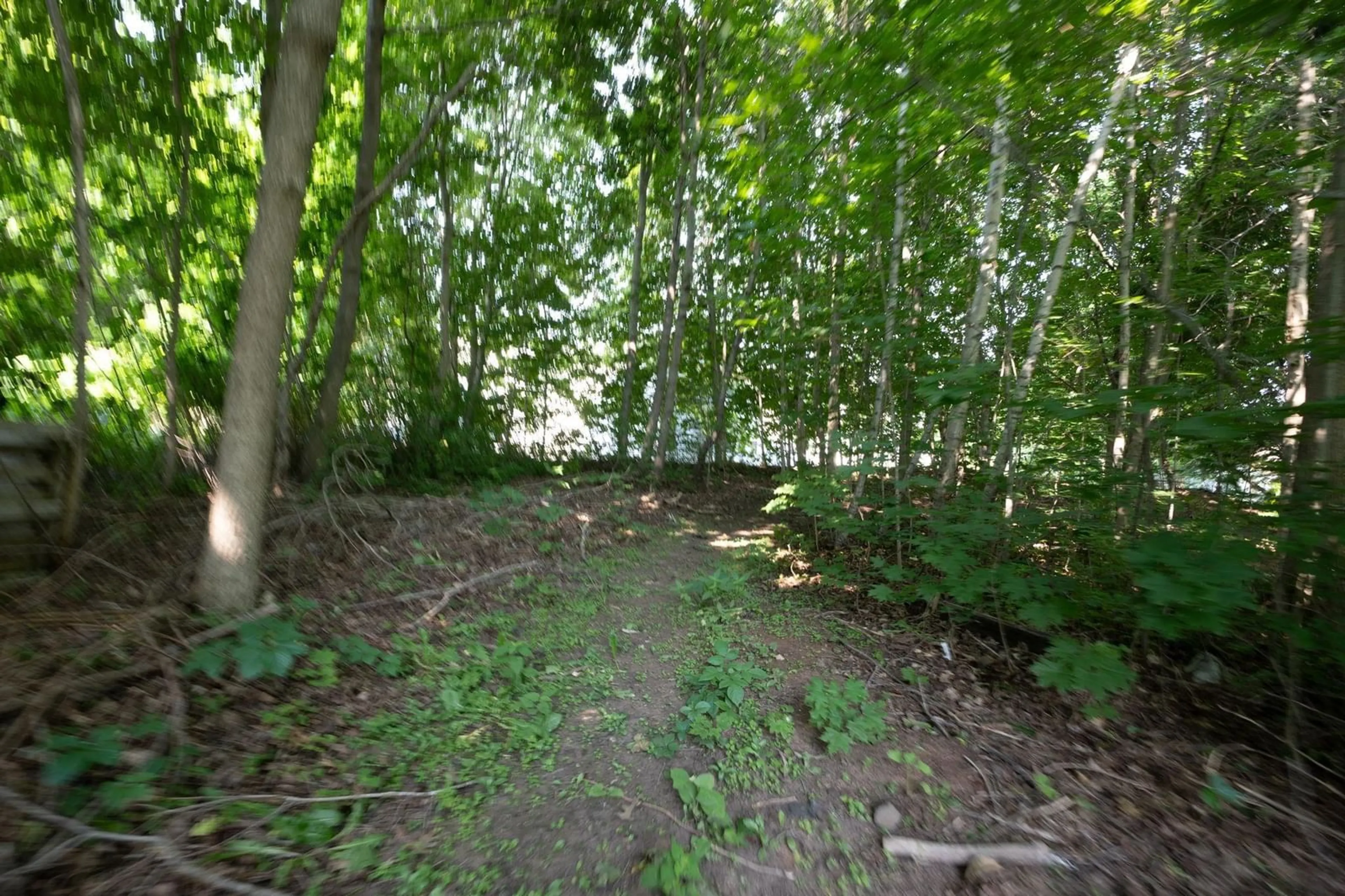 Patio, forest/trees view for 118 Belcher St, Kentville Nova Scotia B4N 1C9