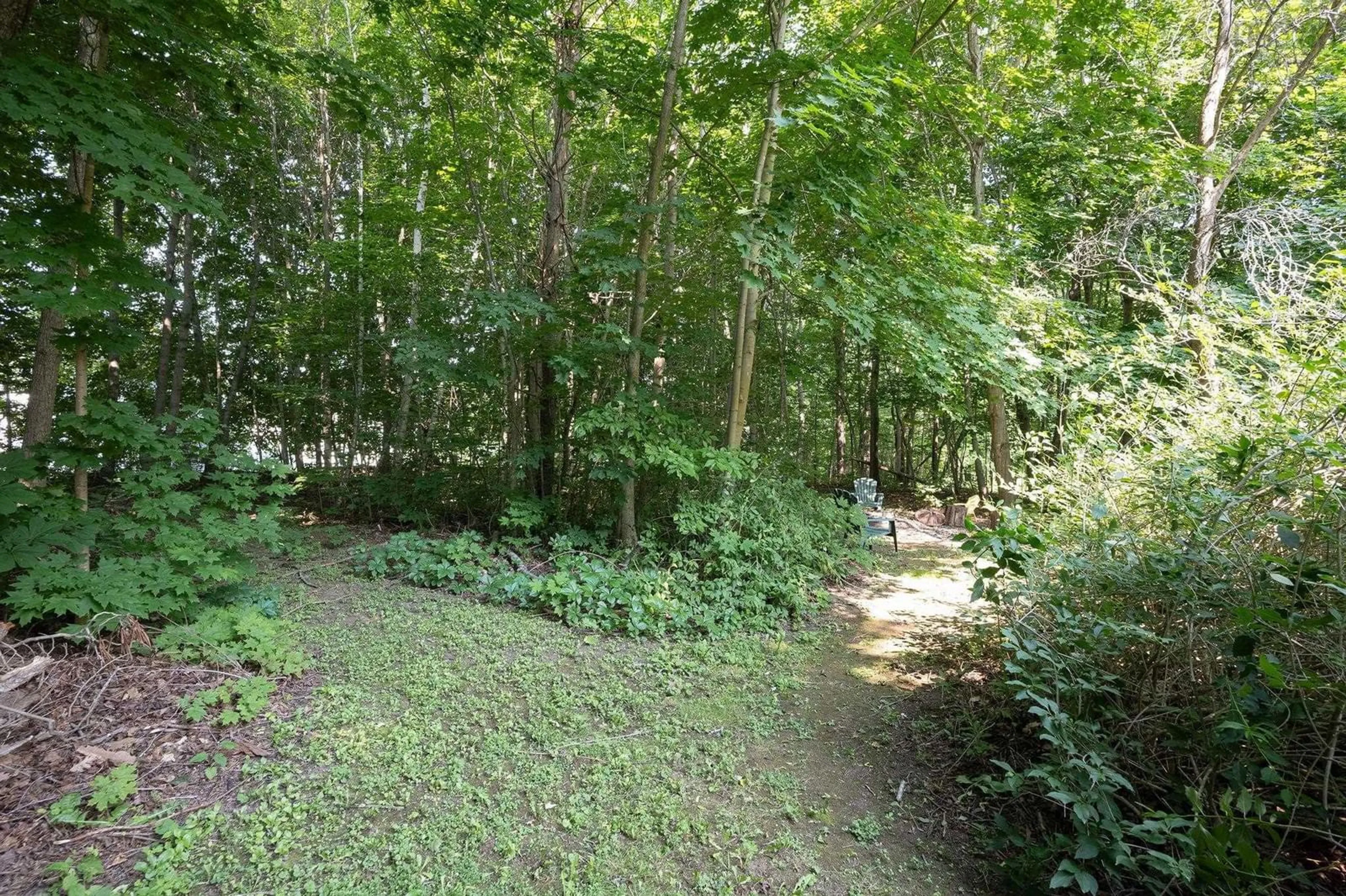 Patio, forest/trees view for 118 Belcher St, Kentville Nova Scotia B4N 1C9