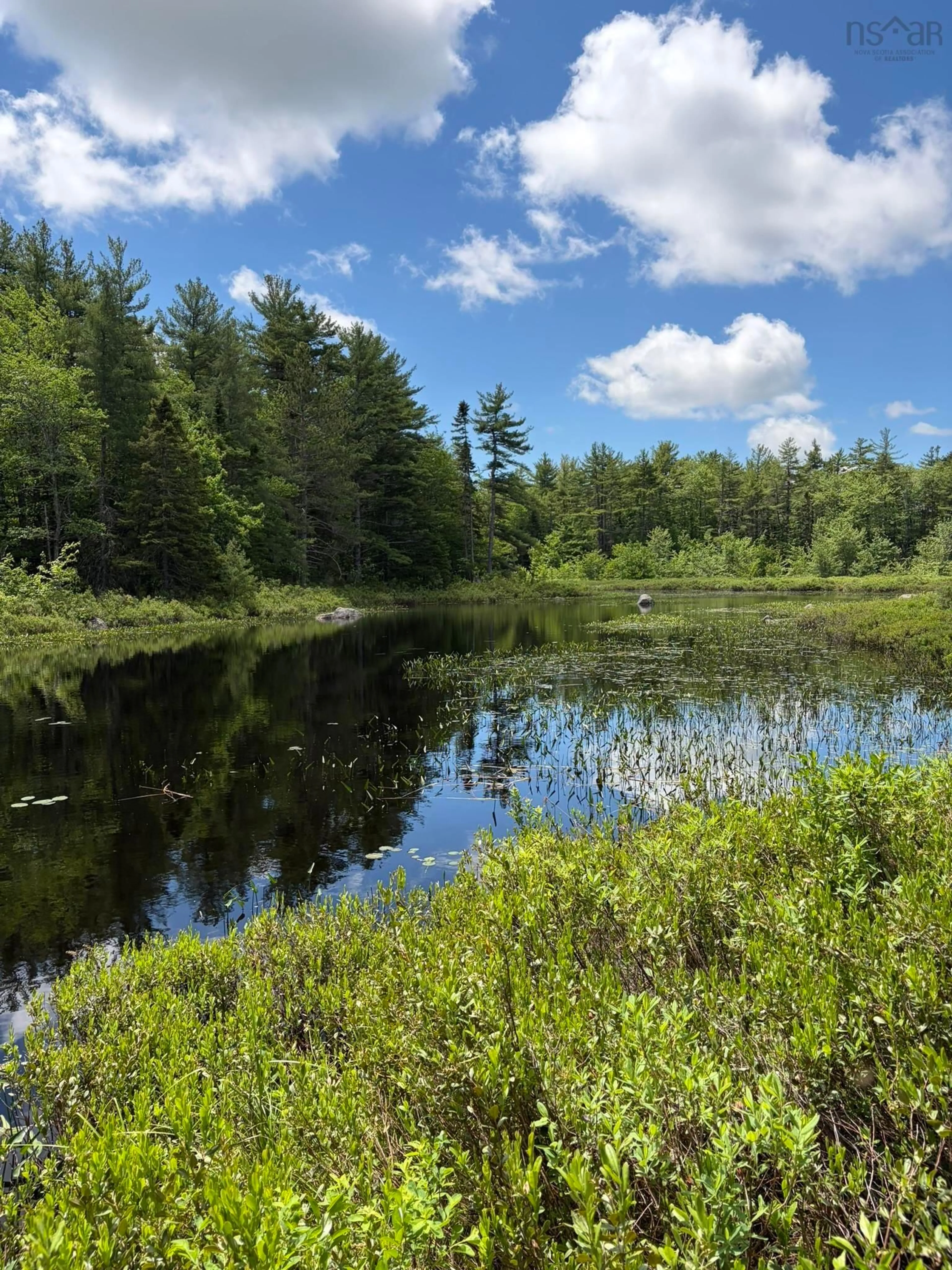 Unknown for 65 Timber Dr, Albany Cross Nova Scotia B0S 1P0