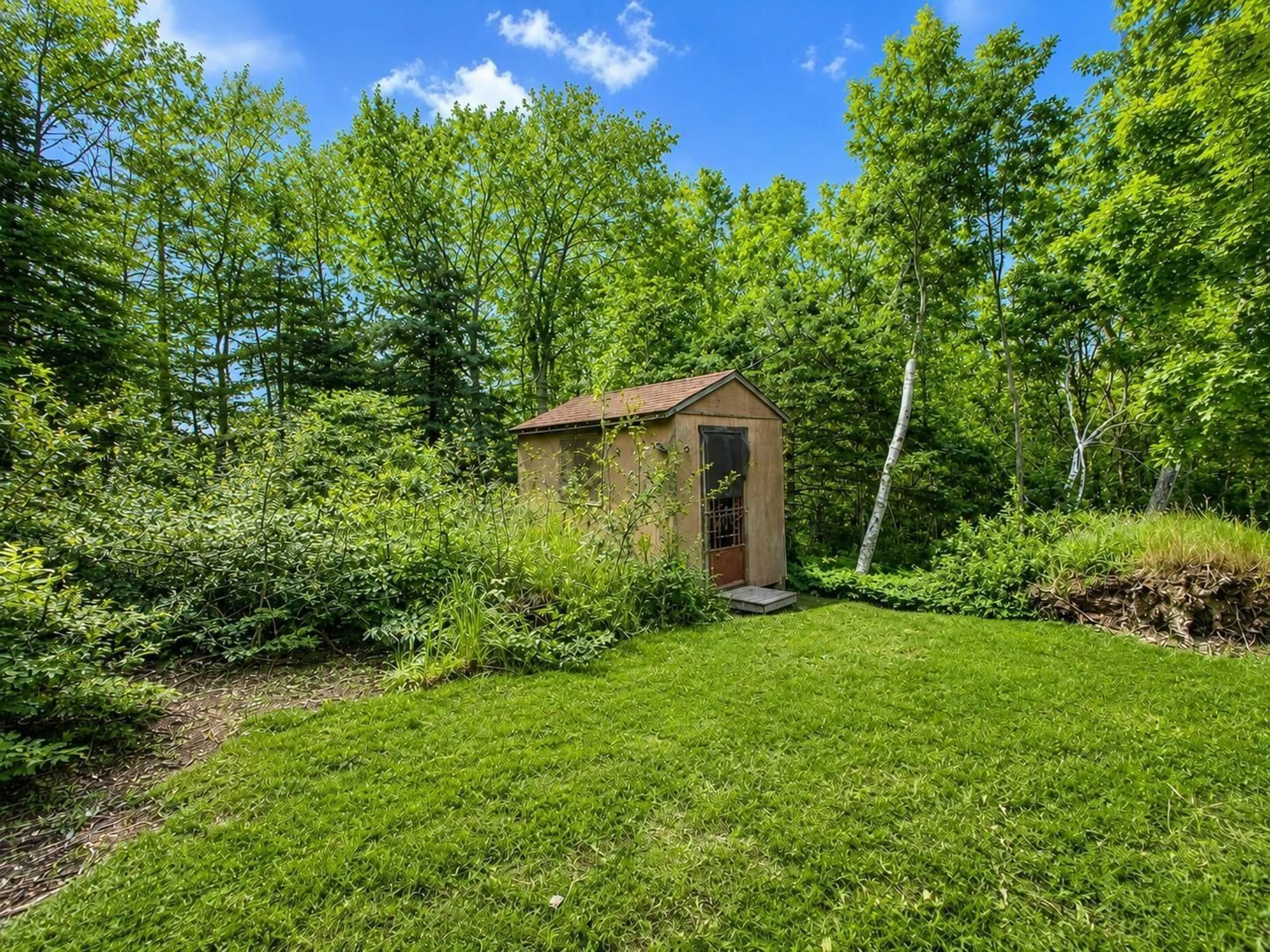 Shed for 638 Alexandra St, Nova Scotia Nova Scotia B1S 2G8