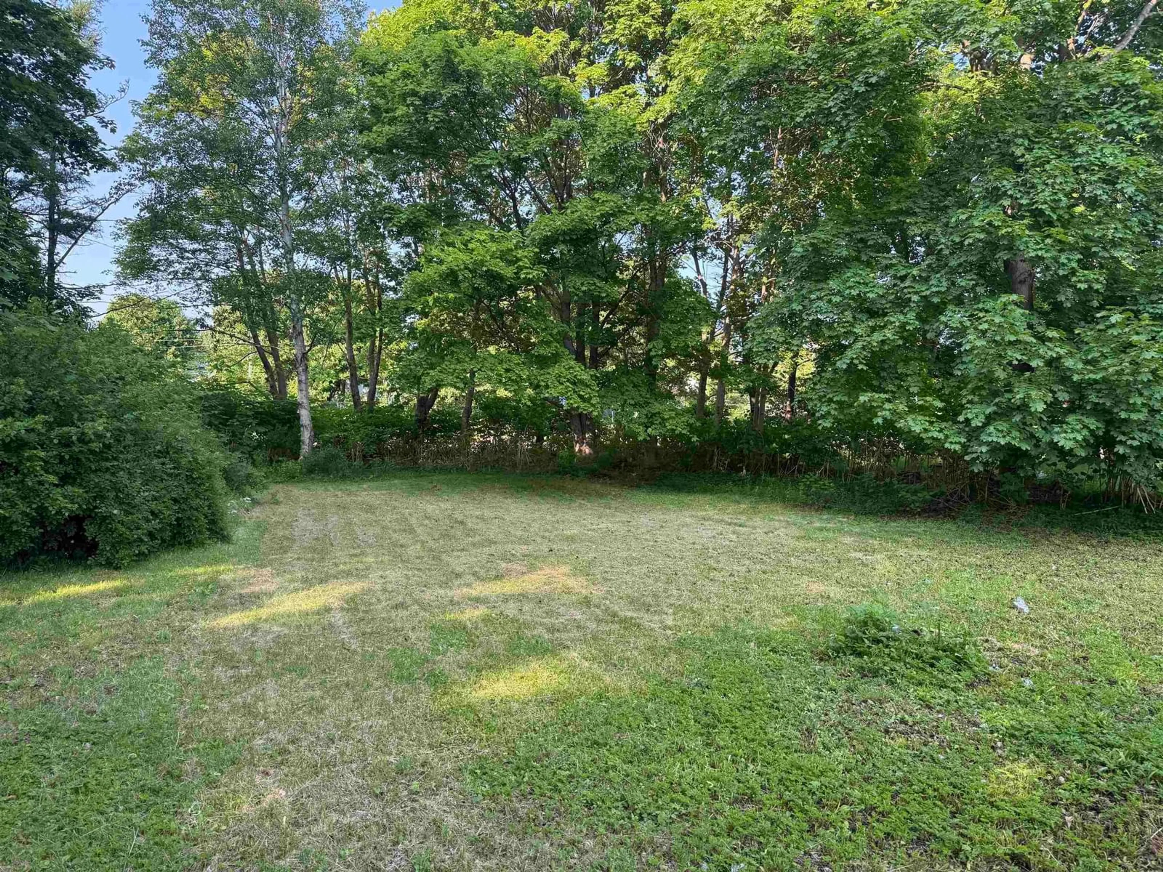 A pic from outside/outdoor area/front of a property/back of a property/a pic from drone, forest/trees view for 7 Regent St, North Sydney Nova Scotia B2A 2E3