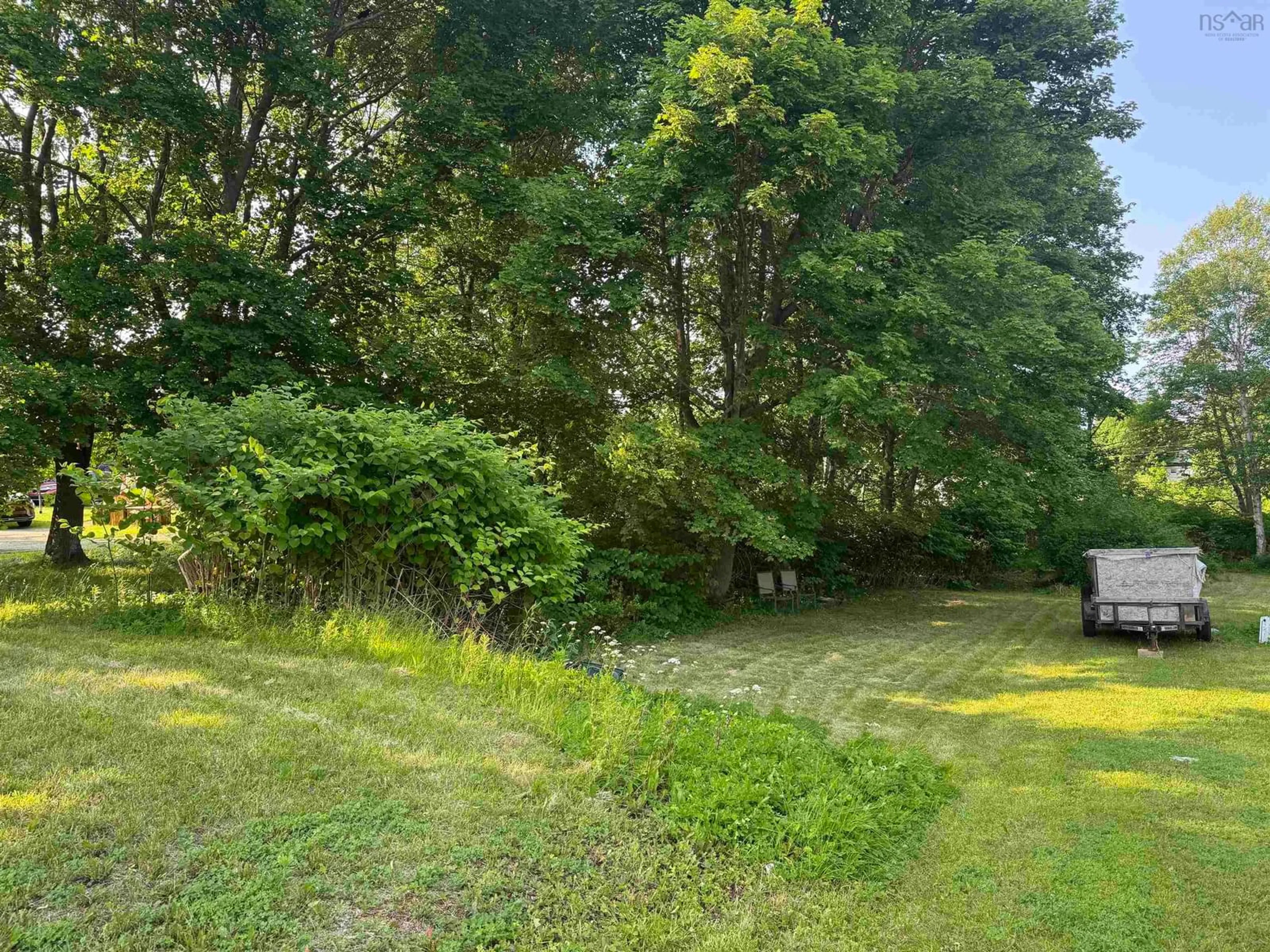A pic from outside/outdoor area/front of a property/back of a property/a pic from drone, forest/trees view for 7 Regent St, North Sydney Nova Scotia B2A 2E3
