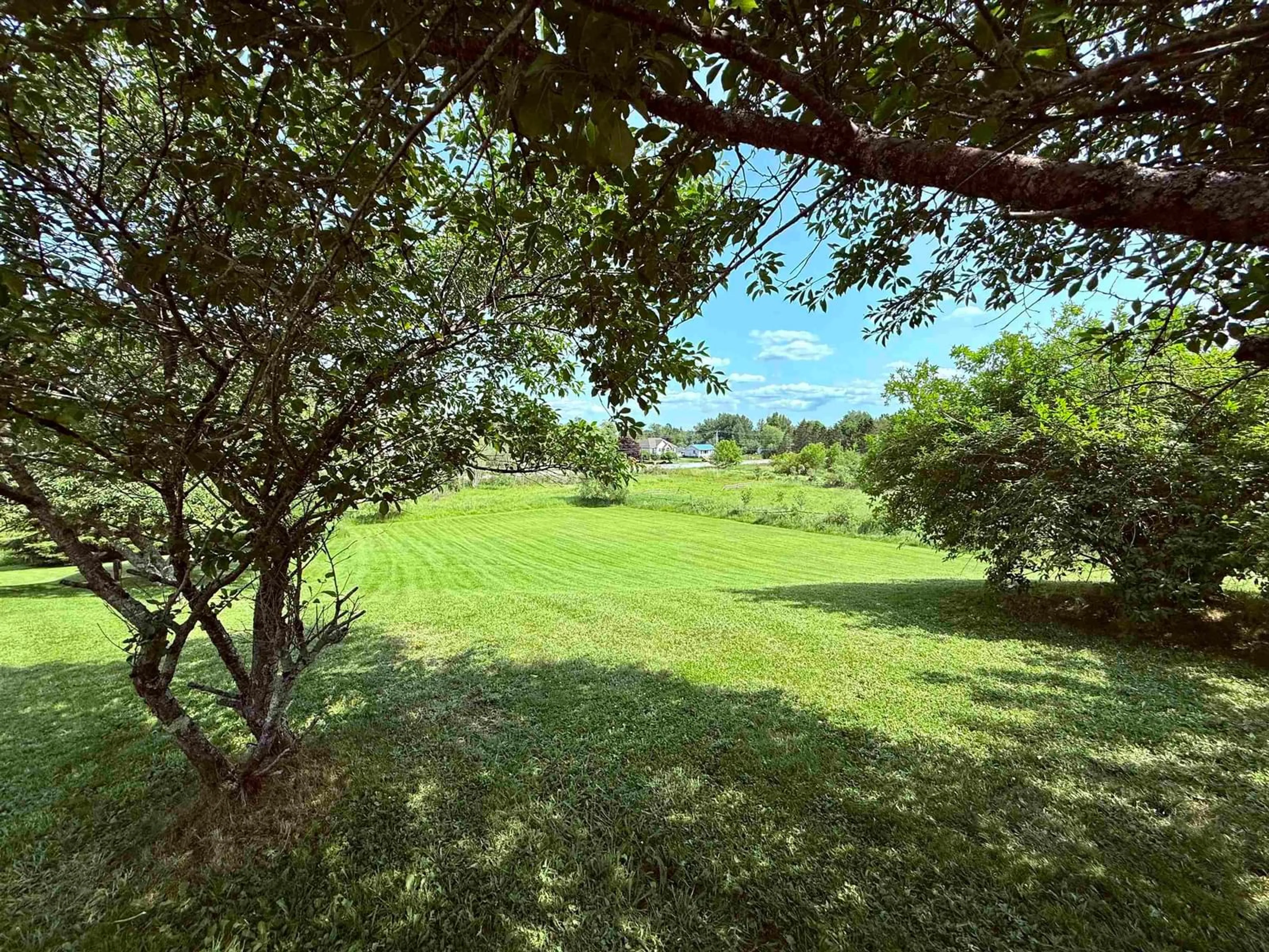 A pic from outside/outdoor area/front of a property/back of a property/a pic from drone, forest/trees view for 2246 Highway 2 Hwy, Milford Nova Scotia B0N 1Y0