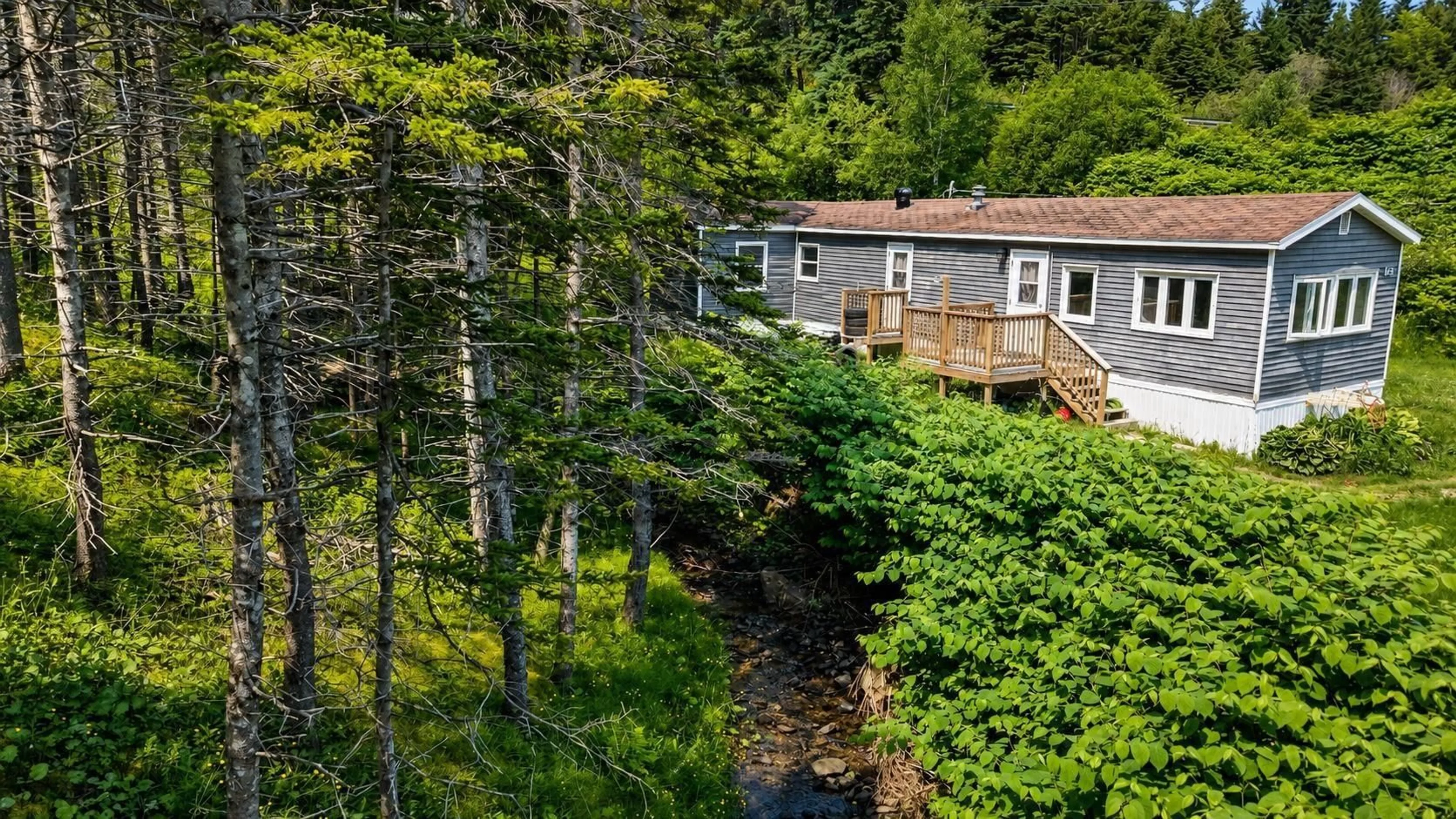 A pic from outside/outdoor area/front of a property/back of a property/a pic from drone, forest/trees view for 75 Broad Cove Banks Rd, Inverness Nova Scotia B0E 1N0