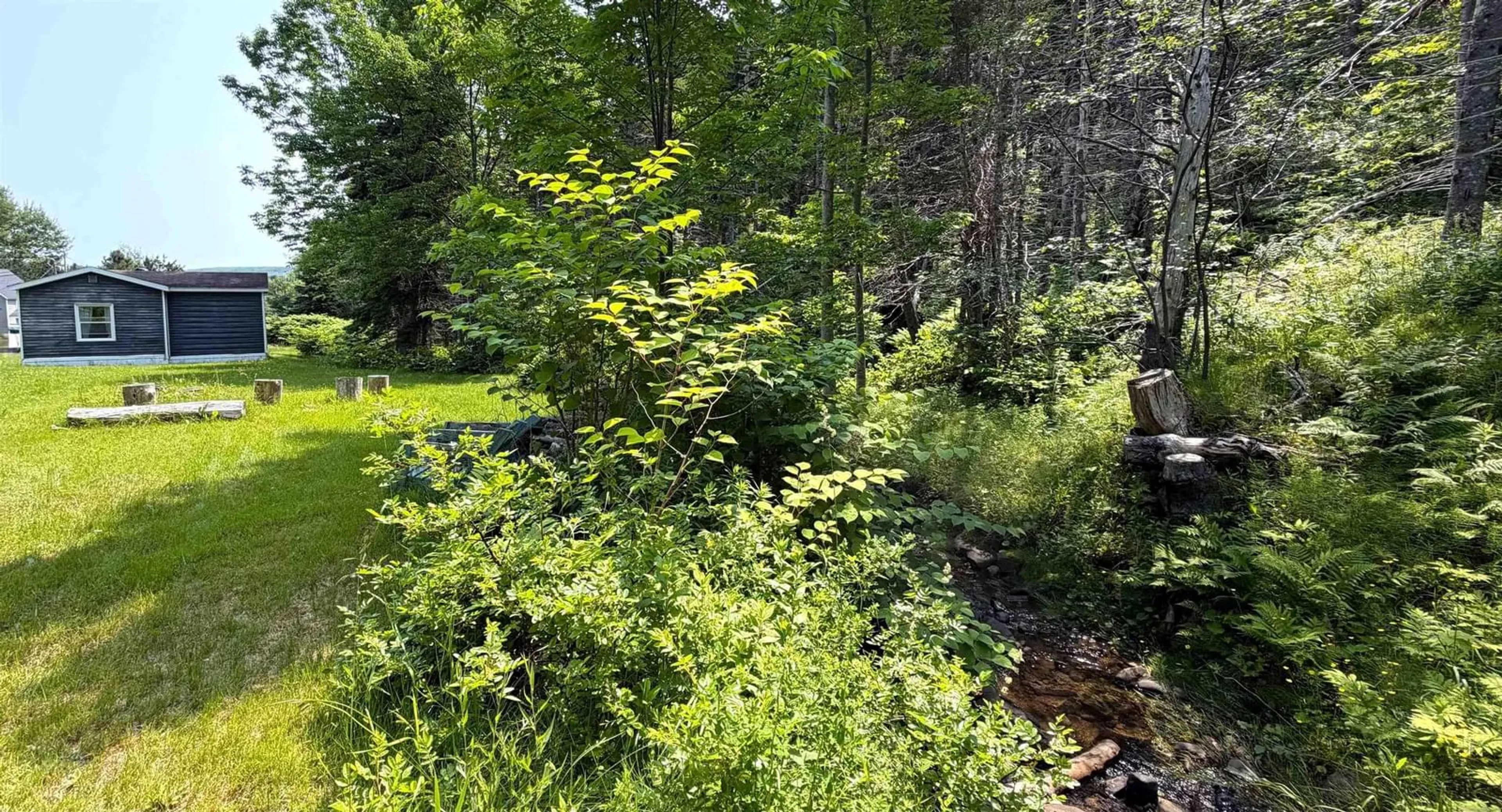 A pic from outside/outdoor area/front of a property/back of a property/a pic from drone, forest/trees view for 75 Broad Cove Banks Rd, Inverness Nova Scotia B0E 1N0
