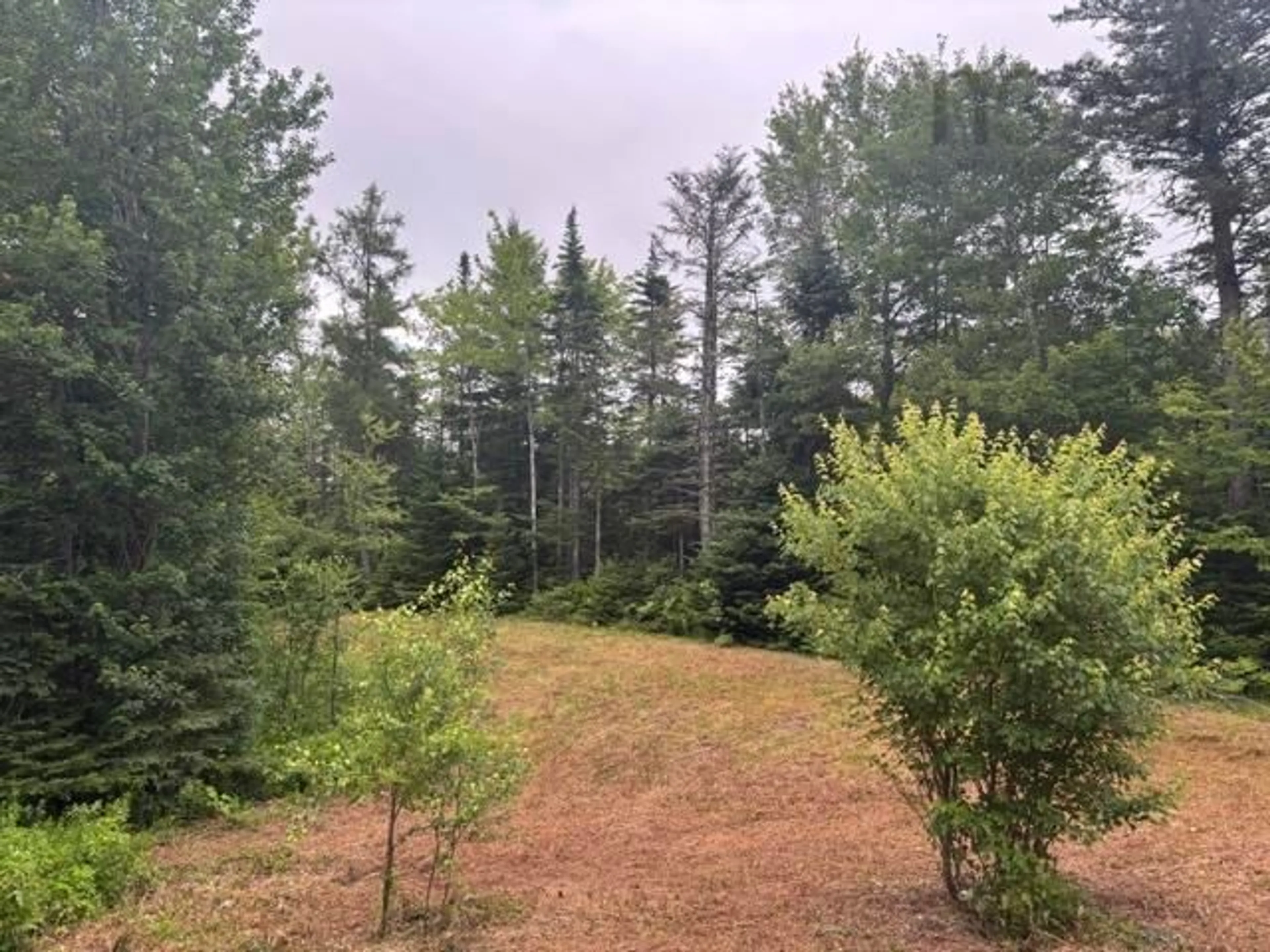 A pic from outside/outdoor area/front of a property/back of a property/a pic from drone, forest/trees view for 53 Moore Rd, Mount Uniacke Nova Scotia B0N 1Z0