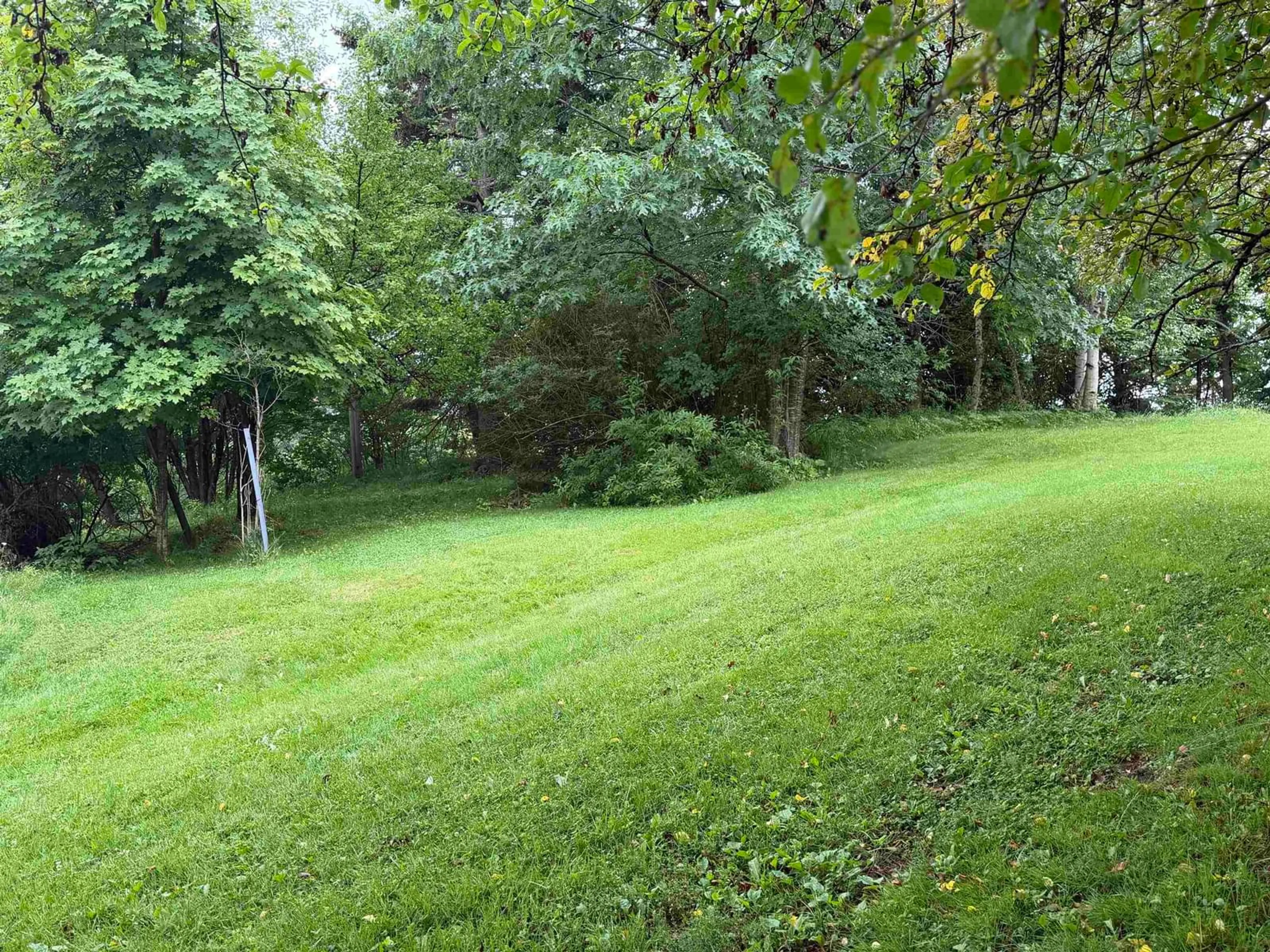 A pic from outside/outdoor area/front of a property/back of a property/a pic from drone, forest/trees view for 84 Warren St, New Glasgow Nova Scotia B2H 1P2
