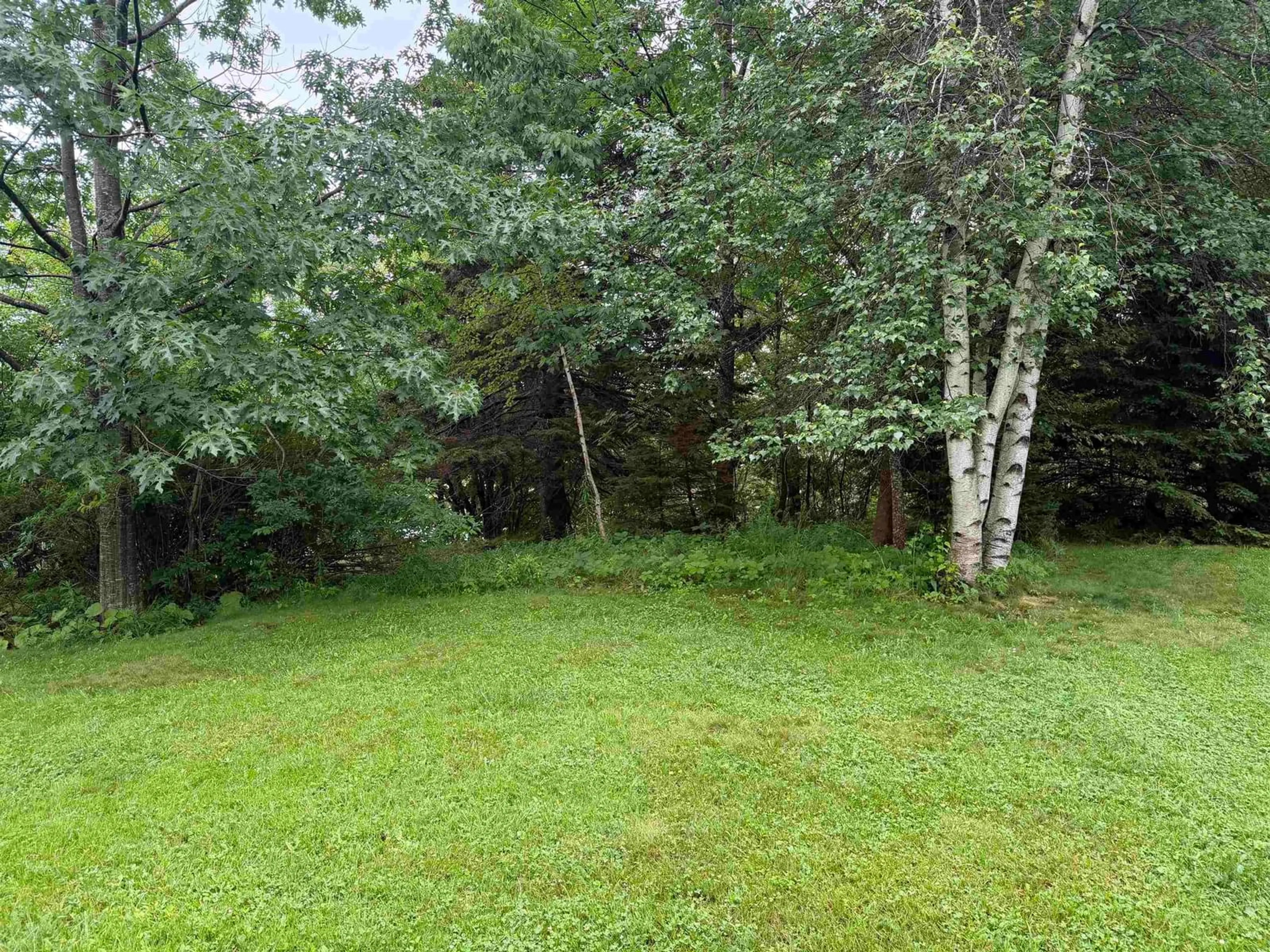 A pic from outside/outdoor area/front of a property/back of a property/a pic from drone, forest/trees view for 84 Warren St, New Glasgow Nova Scotia B2H 1P2