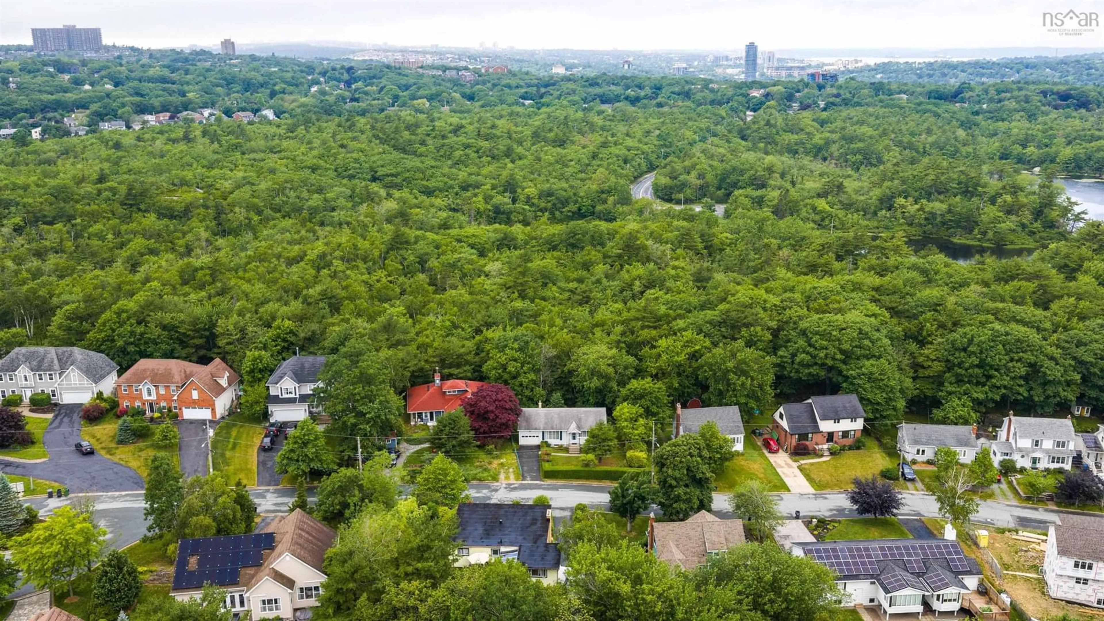 A pic from outside/outdoor area/front of a property/back of a property/a pic from drone, forest/trees view for 17 Forward Ave, Halifax Nova Scotia B3P 1S3