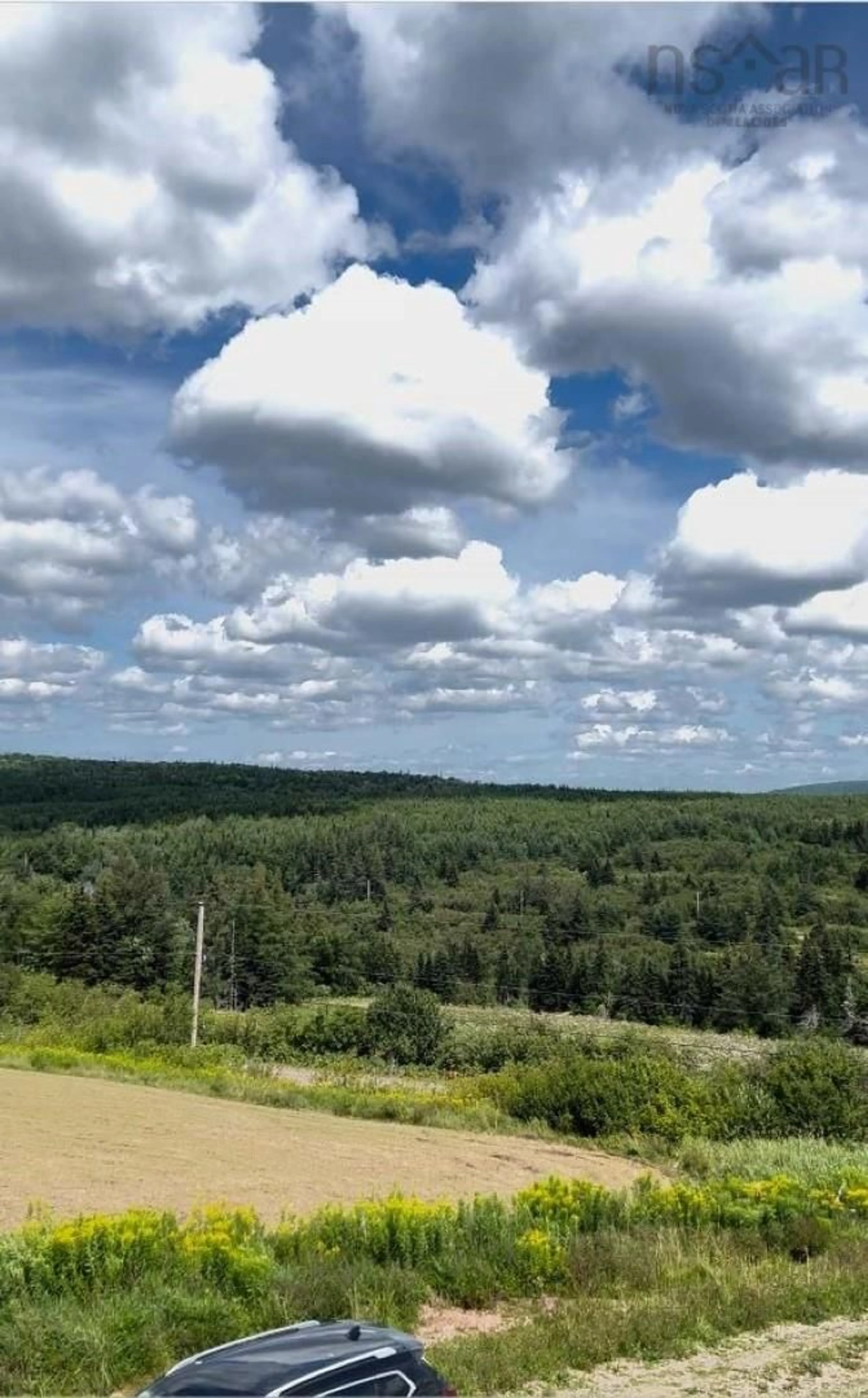 A pic from outside/outdoor area/front of a property/back of a property/a pic from drone, forest/trees view for 376 Upper Glencoe Rd, Mabou Nova Scotia B0E 1X0