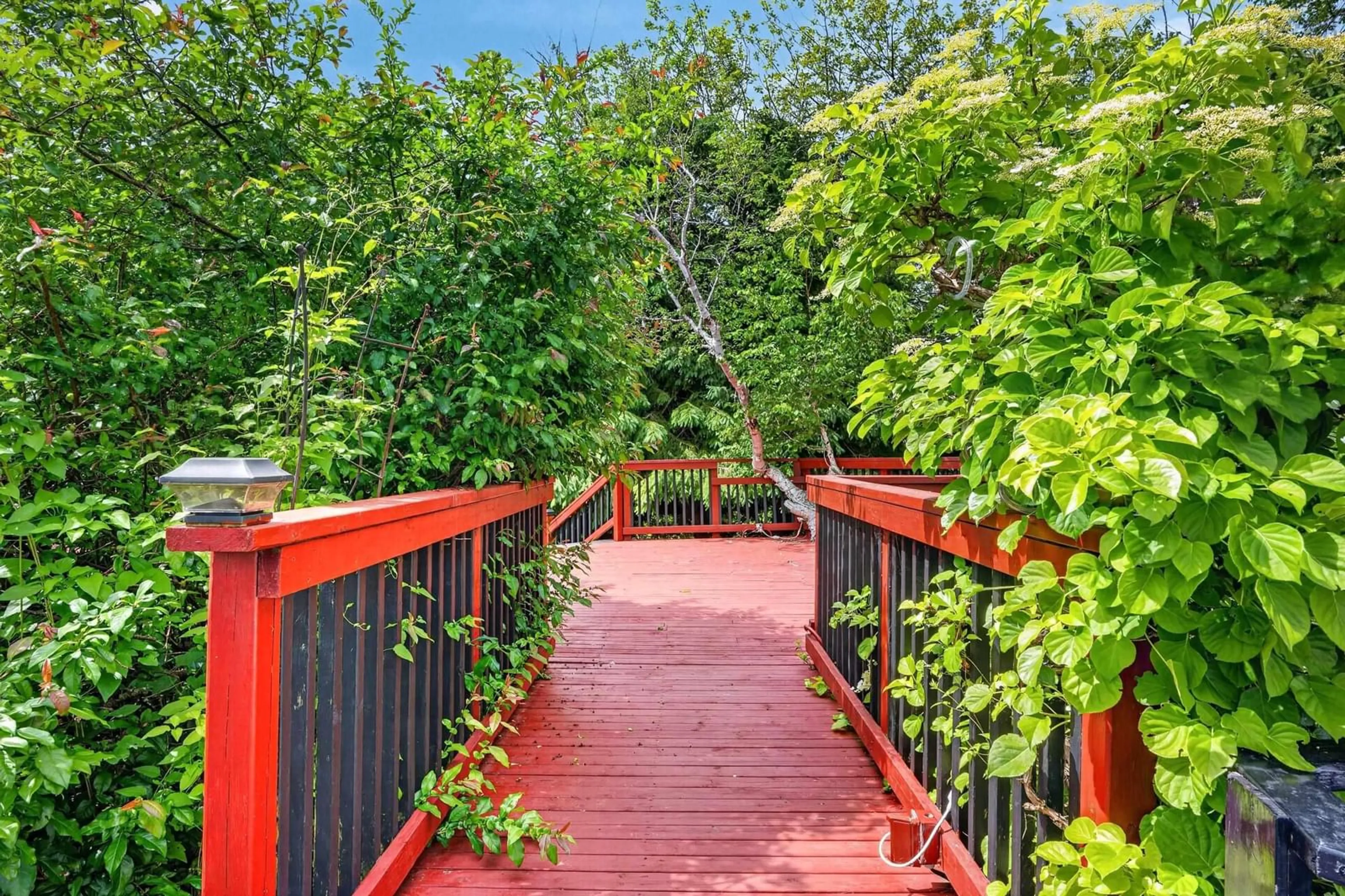 Patio, street for 115 Patnic Ave, Mira Road Nova Scotia B1P 3G6