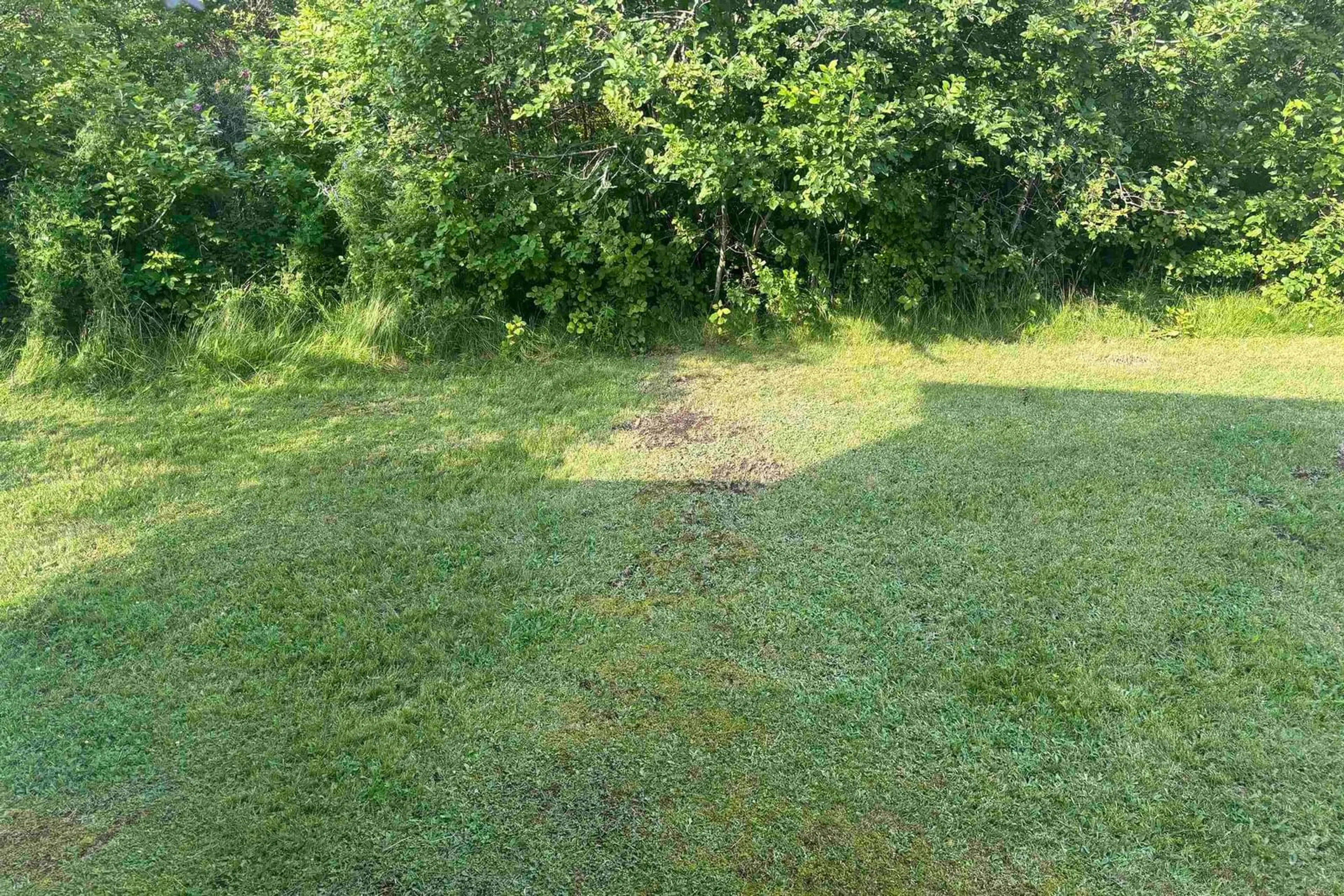 A pic from outside/outdoor area/front of a property/back of a property/a pic from drone, forest/trees view for 37 Russell St, Amherst Nova Scotia B4H 2S5