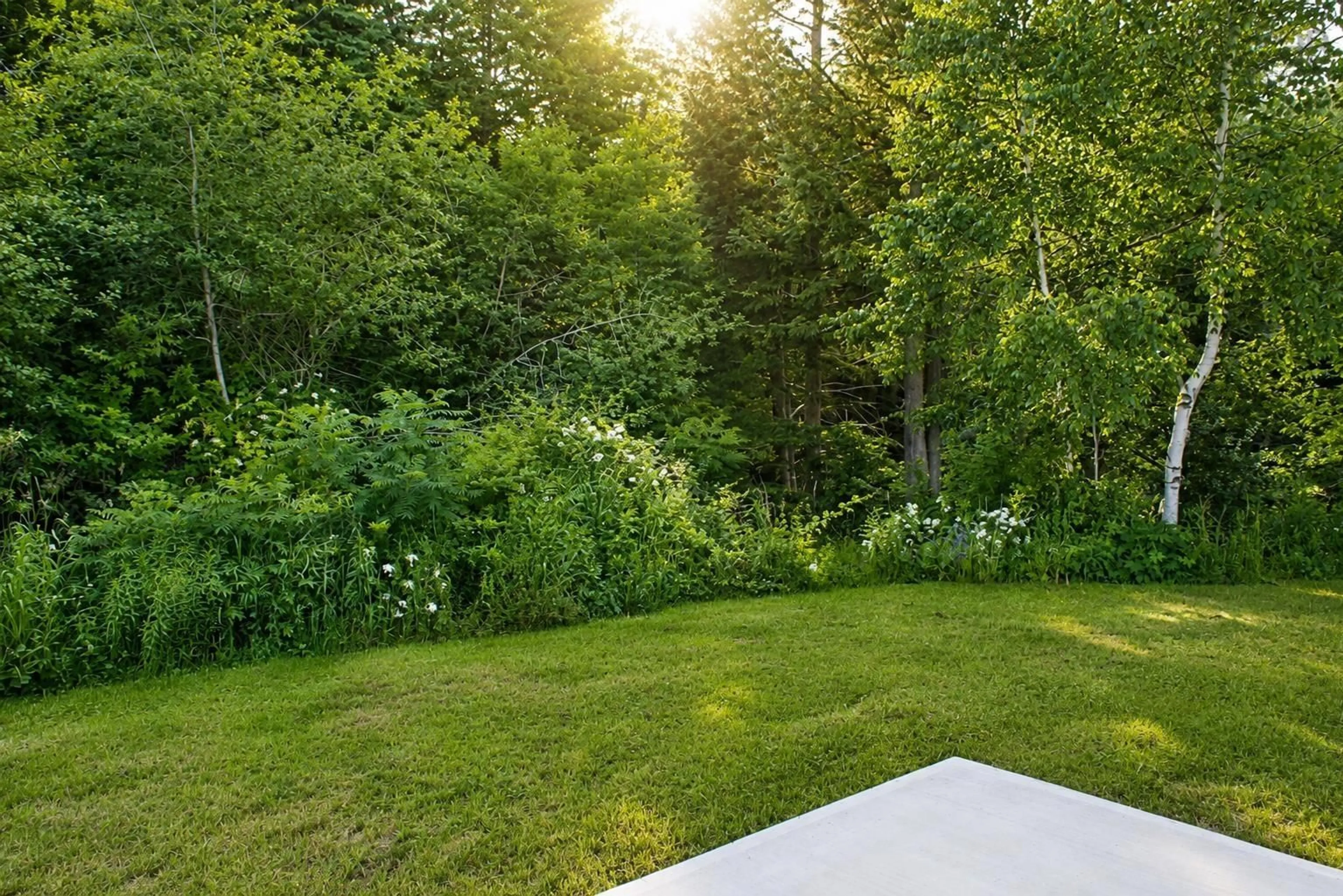 Patio, forest/trees view for 23 Jenifer Cres, New Minas Nova Scotia B4N 0H7