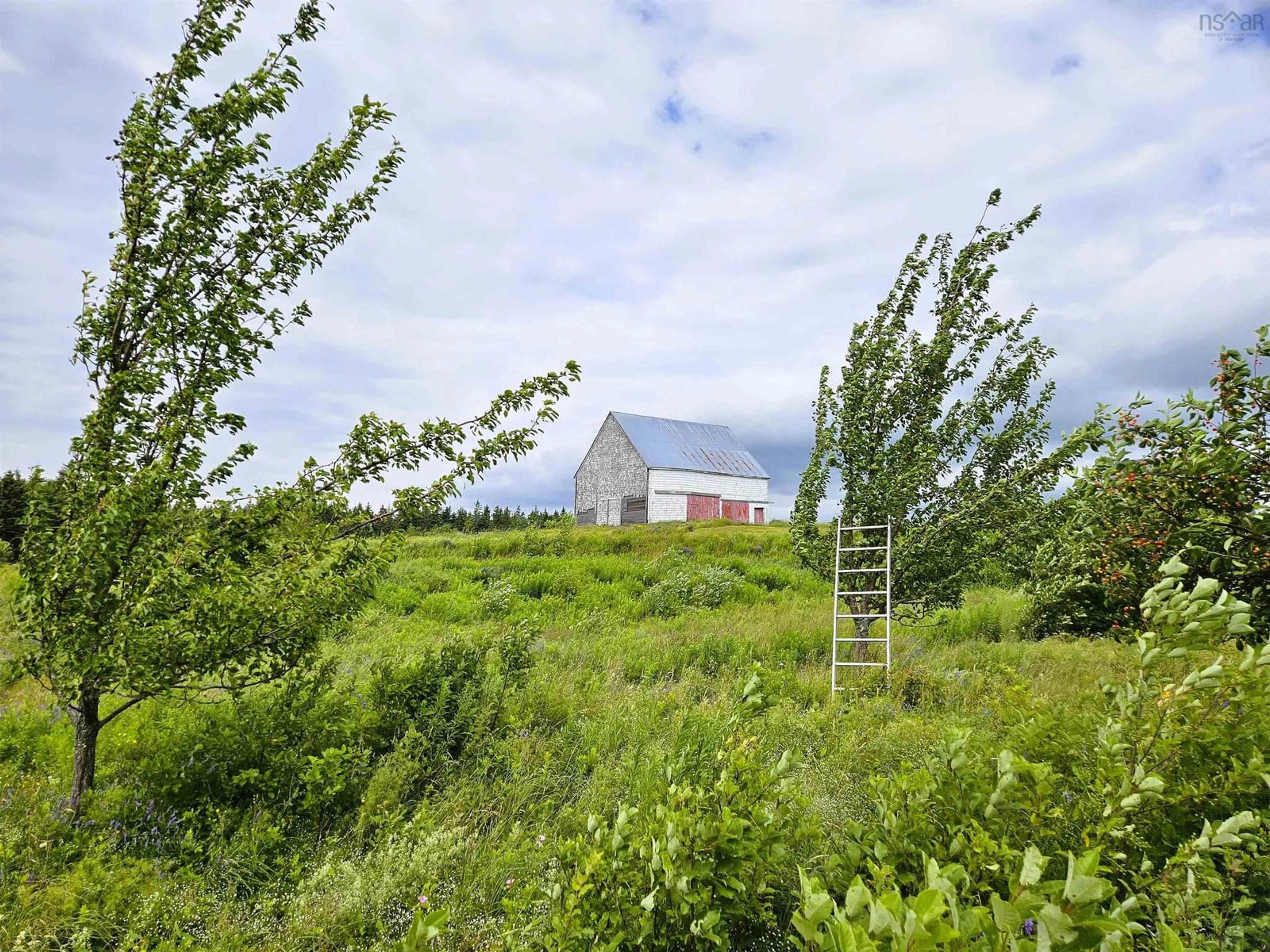 Shed for 1807 Highway 326, East Earltown Nova Scotia B0K 1V0