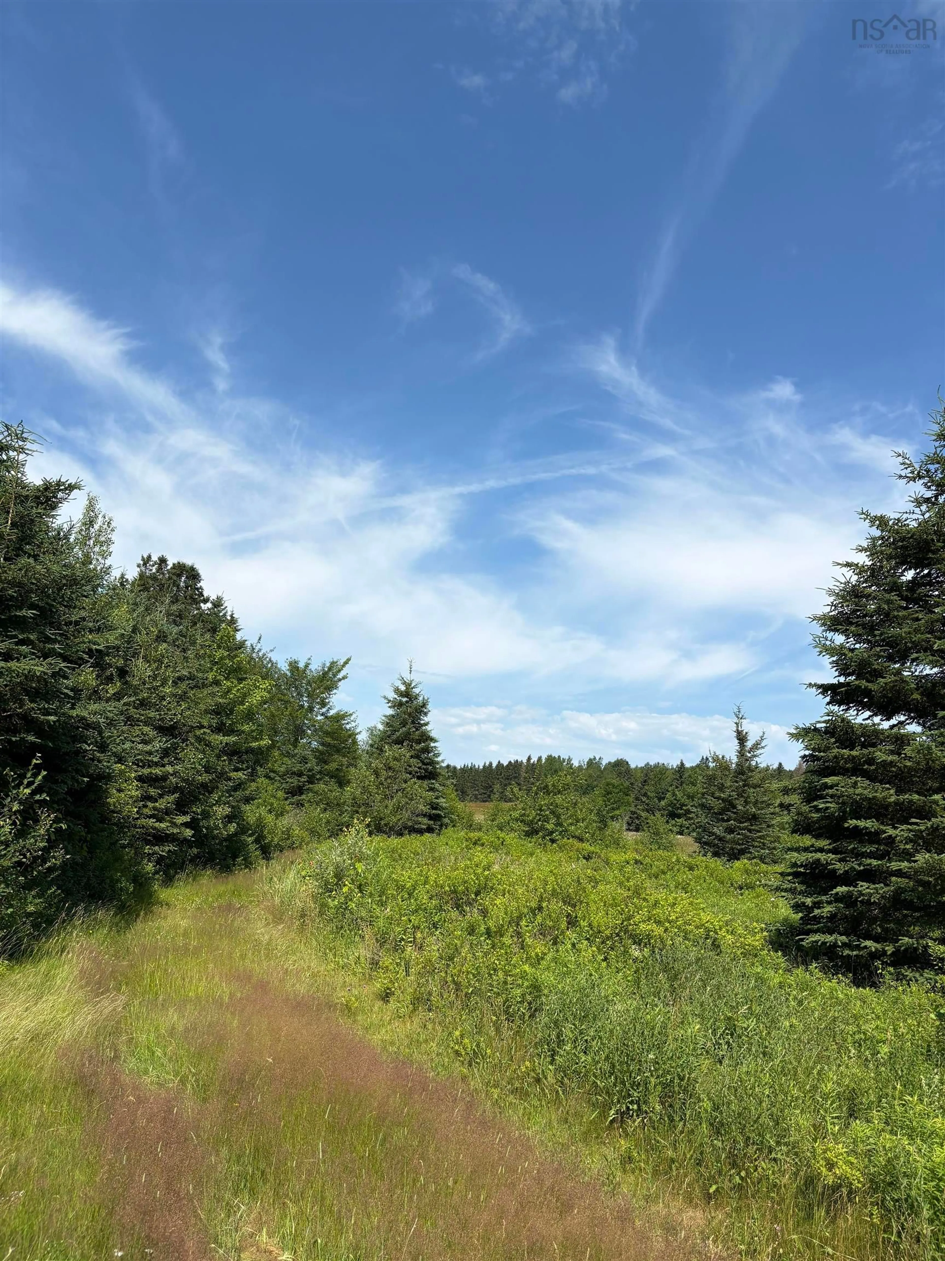 Blurry image for 272 Breen Rd, Monastery Nova Scotia B0H 1W0