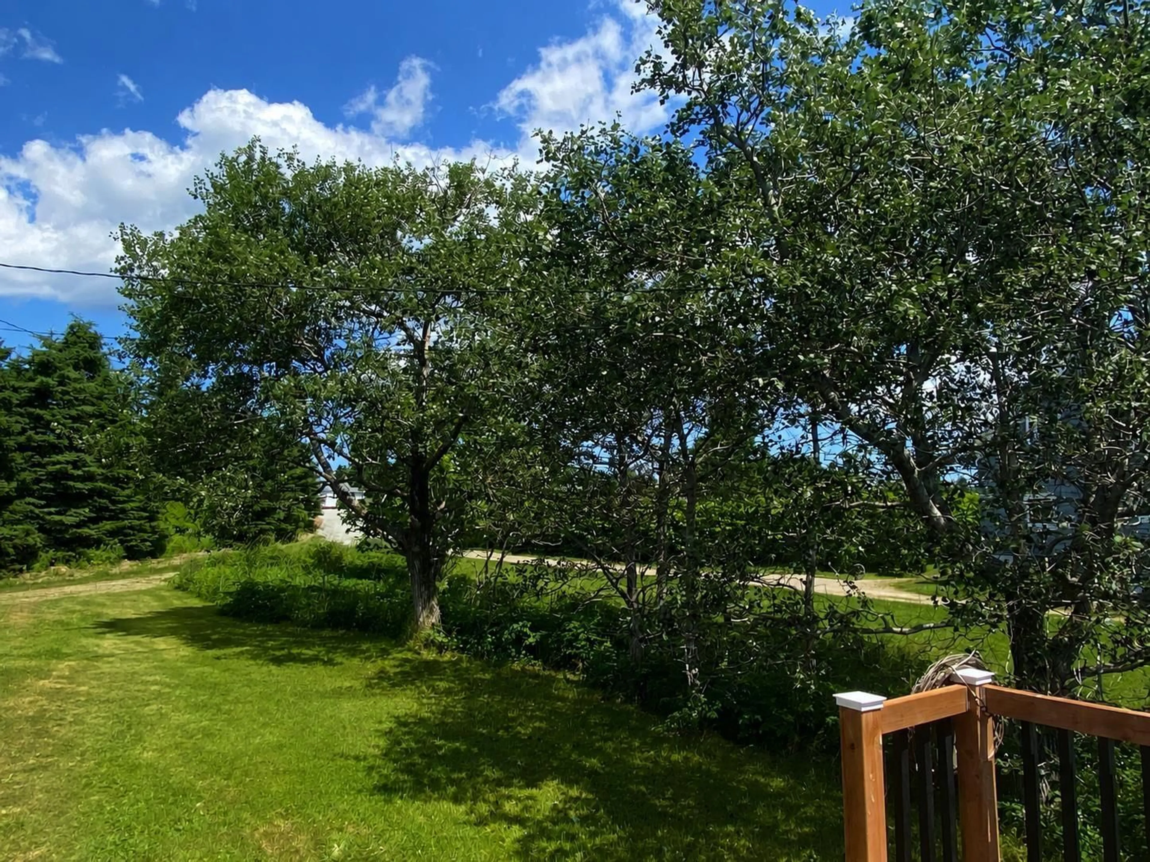 A pic from outside/outdoor area/front of a property/back of a property/a pic from drone, forest/trees view for 23 Evong Rd, L'Ardoise Nova Scotia B0E 3B0