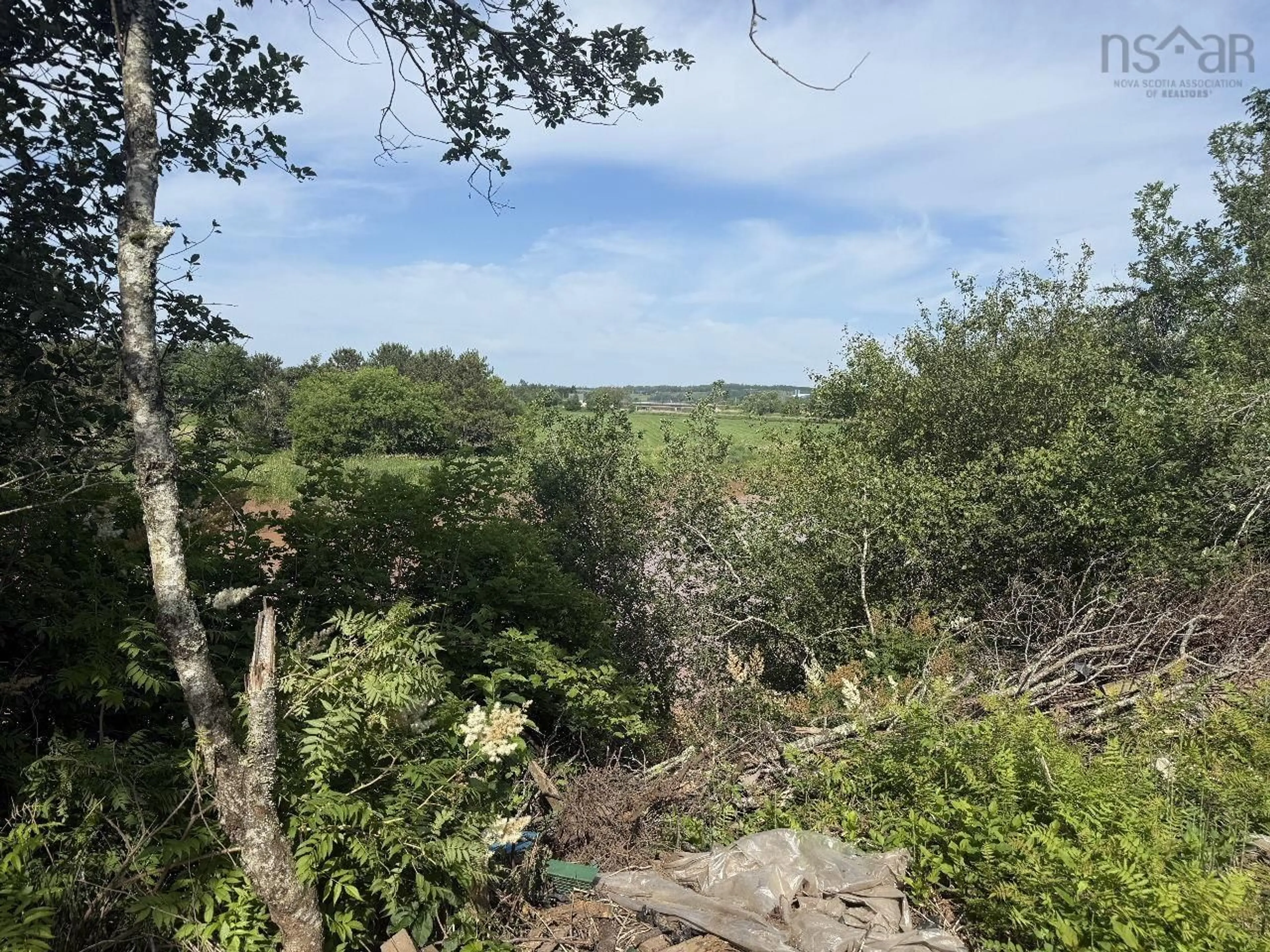 A pic from outside/outdoor area/front of a property/back of a property/a pic from drone, forest/trees view for 1945 224 Hwy, Shubenacadie East Nova Scotia B0N 2H0