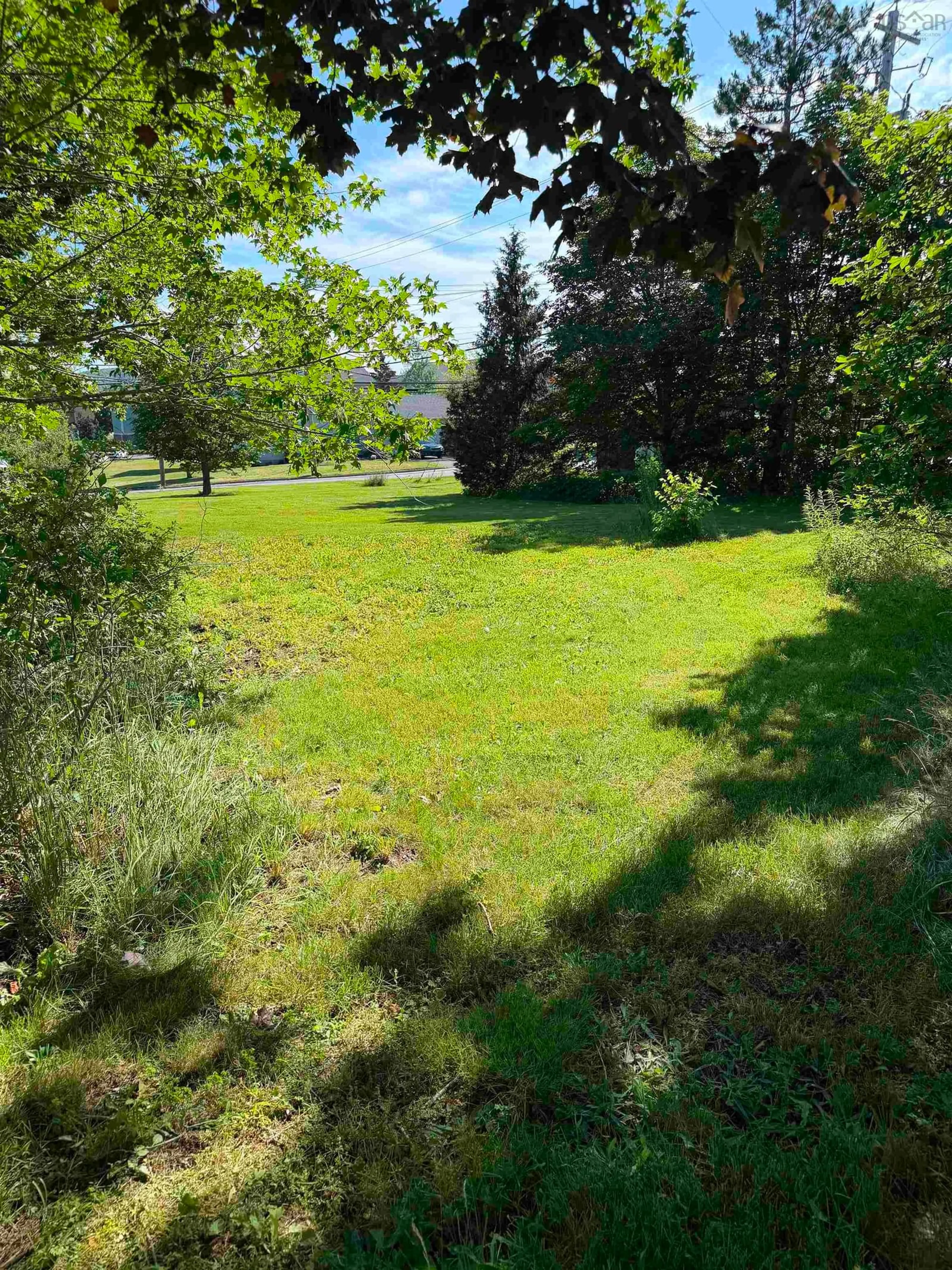 A pic from outside/outdoor area/front of a property/back of a property/a pic from drone, forest/trees view for 1769 Brierly Brook Road B2g 2k9, Antigonish Nova Scotia B2G 2K9