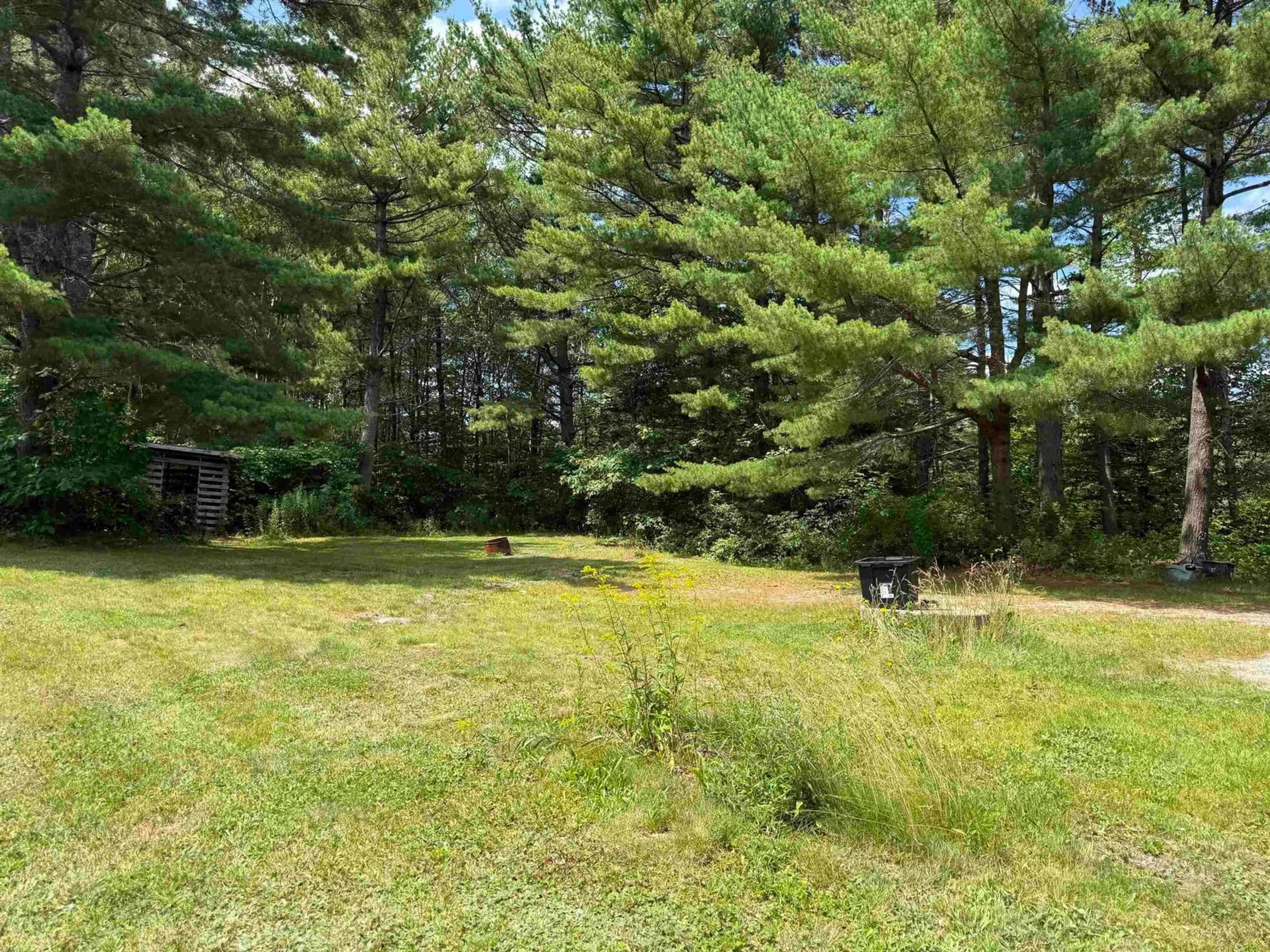 Patio, forest/trees view for 42 Station Road Extension, Western Shore Nova Scotia B0J 3M0