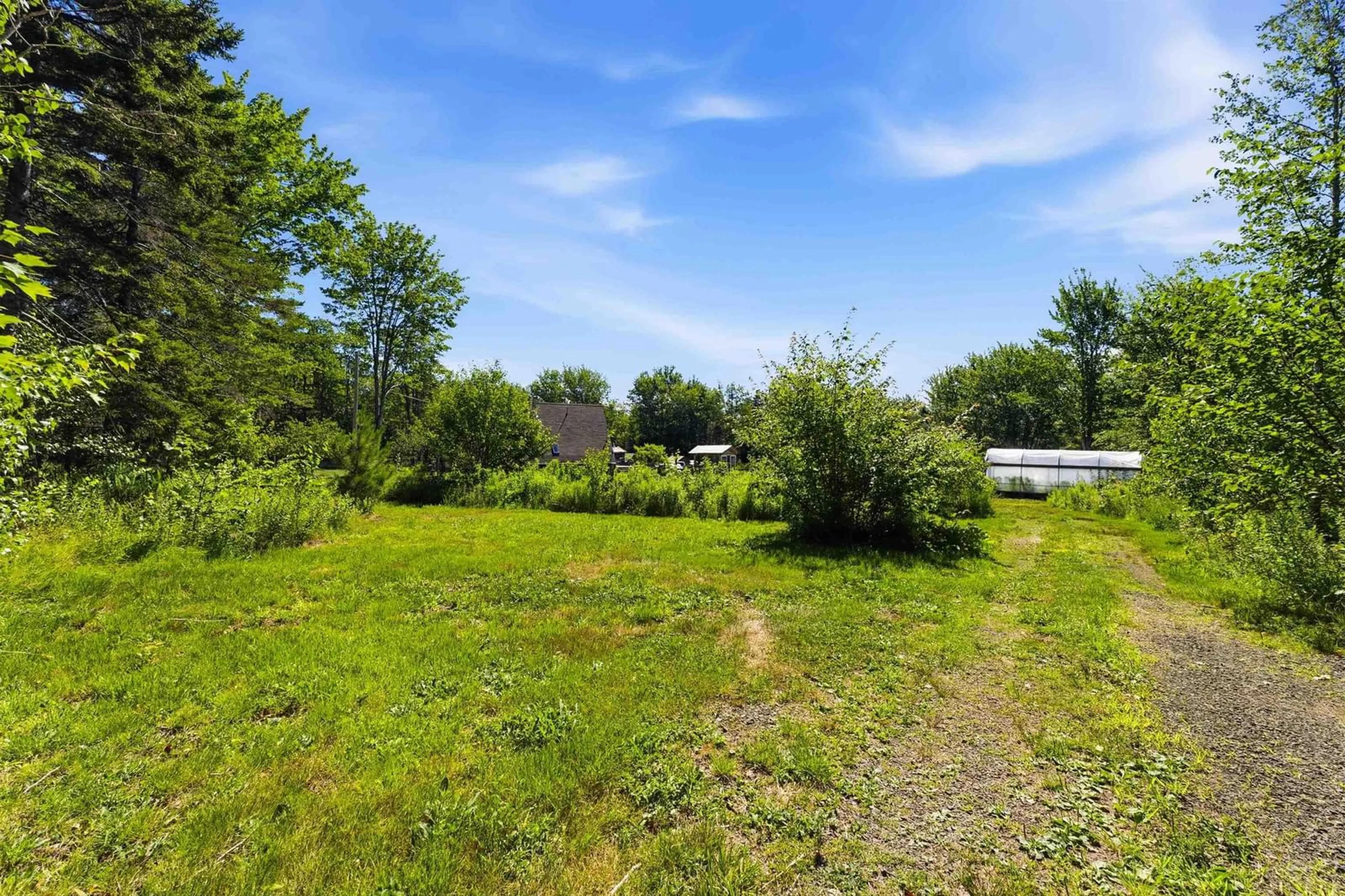 A pic from outside/outdoor area/front of a property/back of a property/a pic from drone, forest/trees view for 552 Beaconsfield Rd, Beaconsfield Nova Scotia B0S 1C0