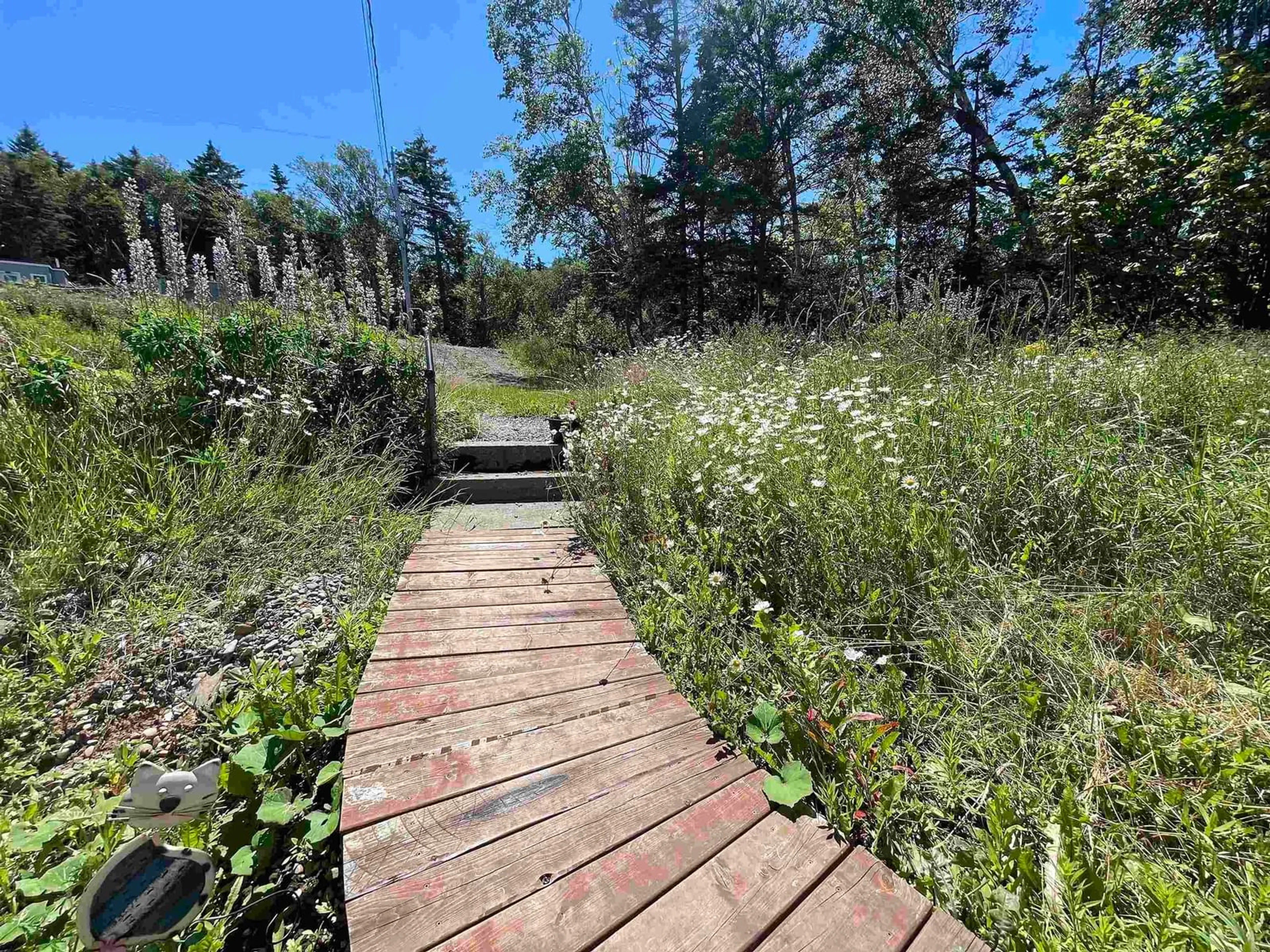 A pic from outside/outdoor area/front of a property/back of a property/a pic from drone, forest/trees view for 427 Old Baxter Mill Rd, Baxters Harbour Nova Scotia B0P 1H0