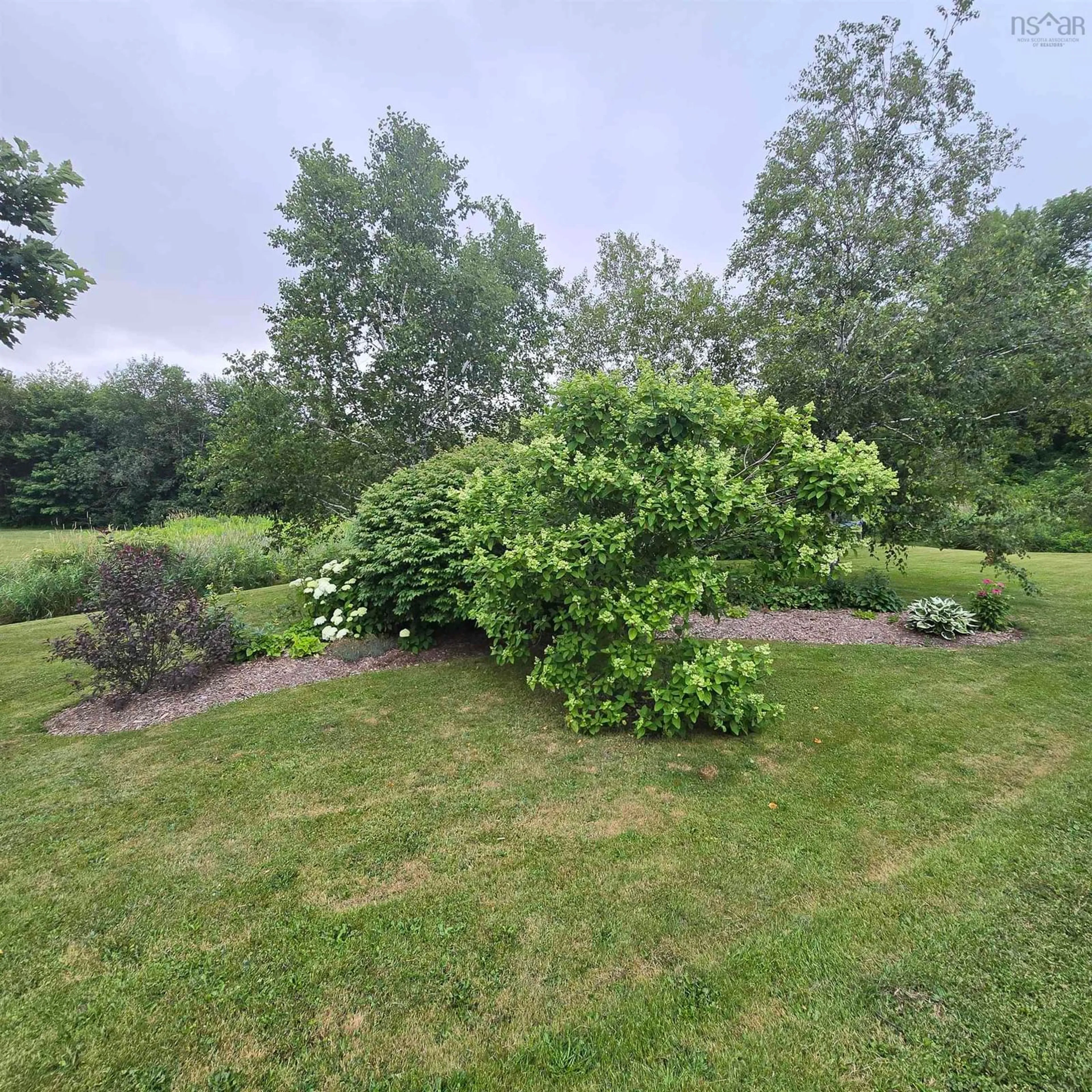 A pic from outside/outdoor area/front of a property/back of a property/a pic from drone, forest/trees view for 263 Old Pinevale Road, Pinevale Nova Scotia B2G 2L3