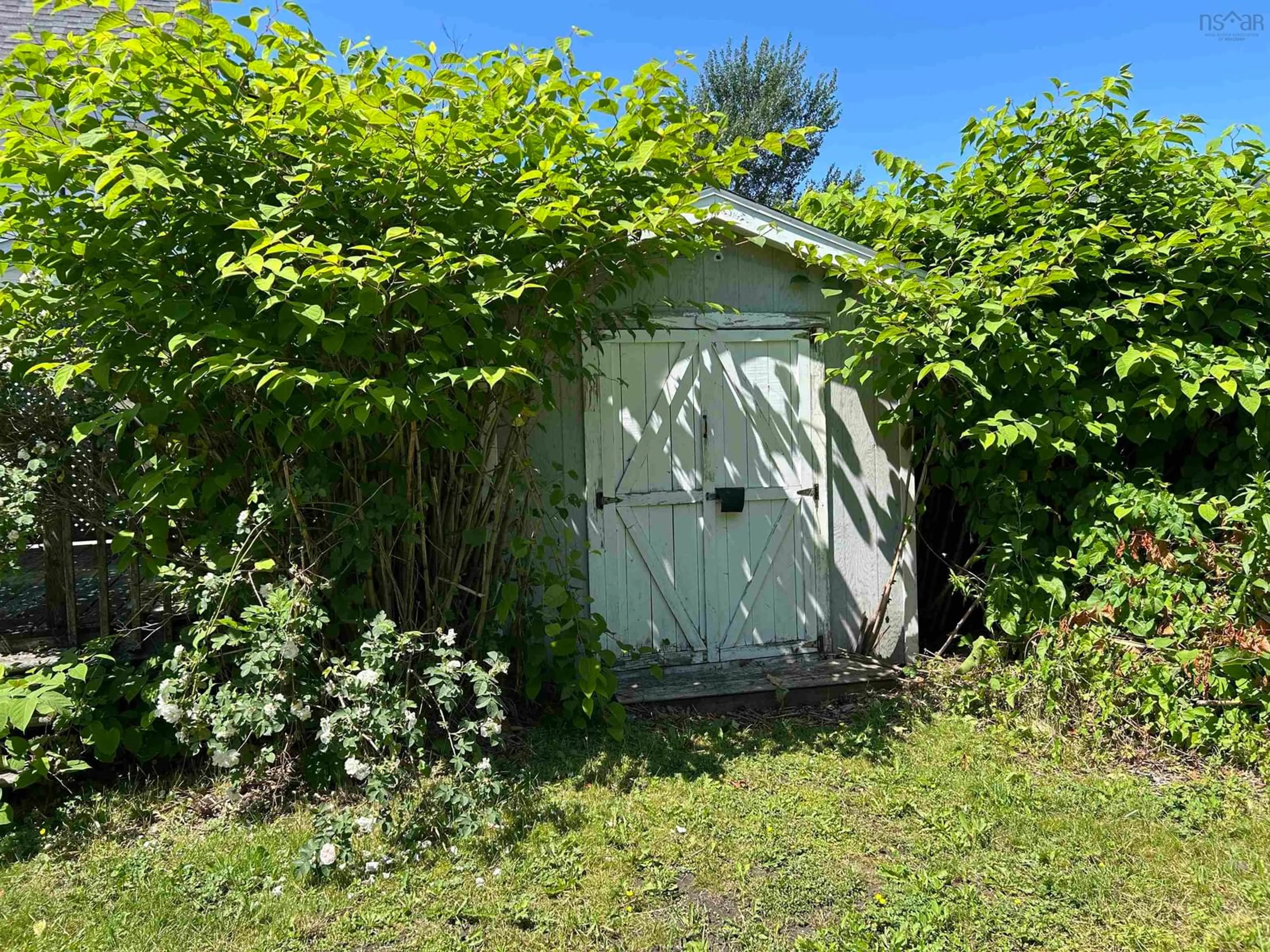 Shed for 29 Essex St, Sydney Nova Scotia B1P 1C5