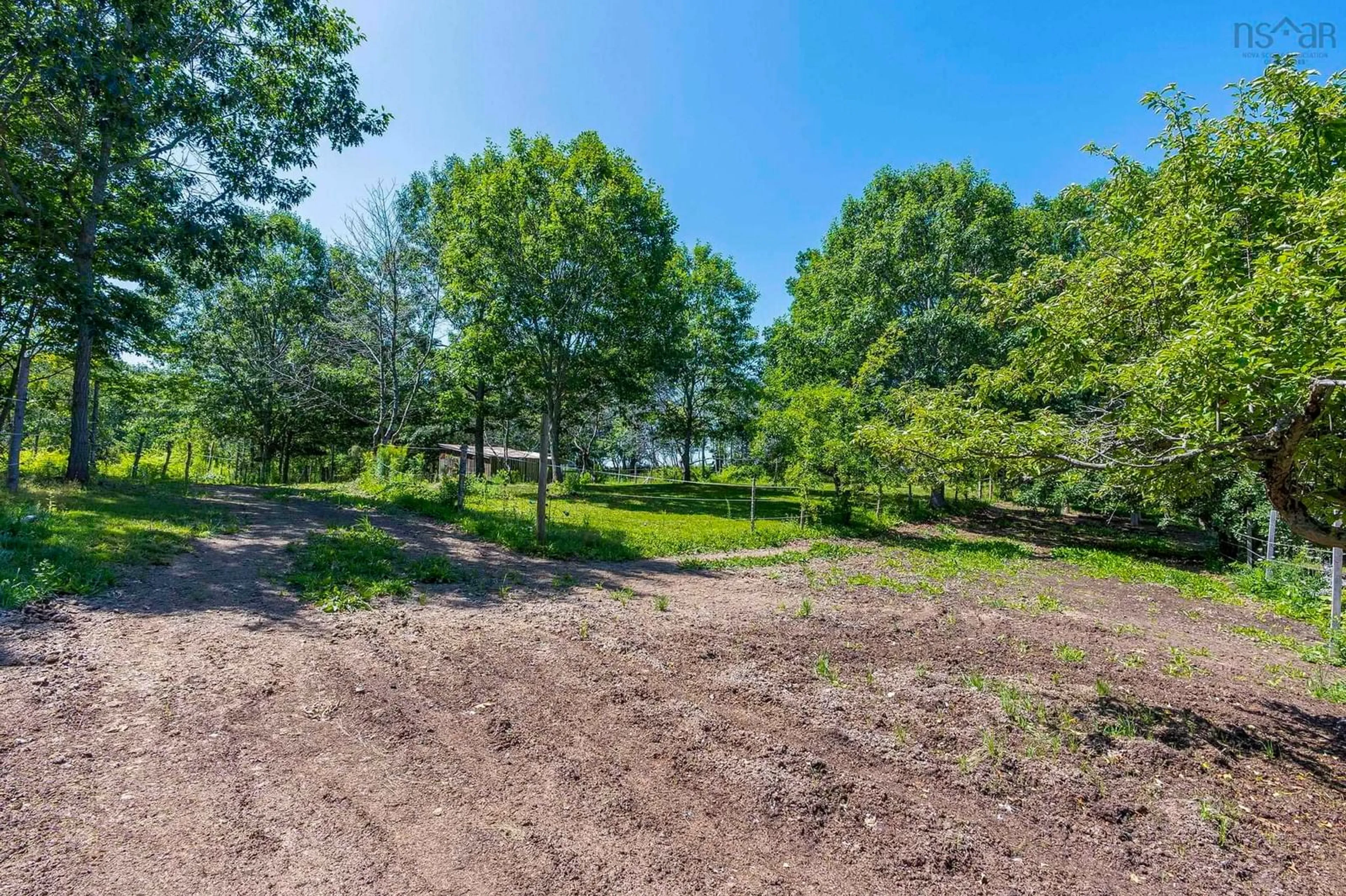 A pic from outside/outdoor area/front of a property/back of a property/a pic from drone, forest/trees view for 4902 Highway 1, Waterville Nova Scotia B0P 1V0
