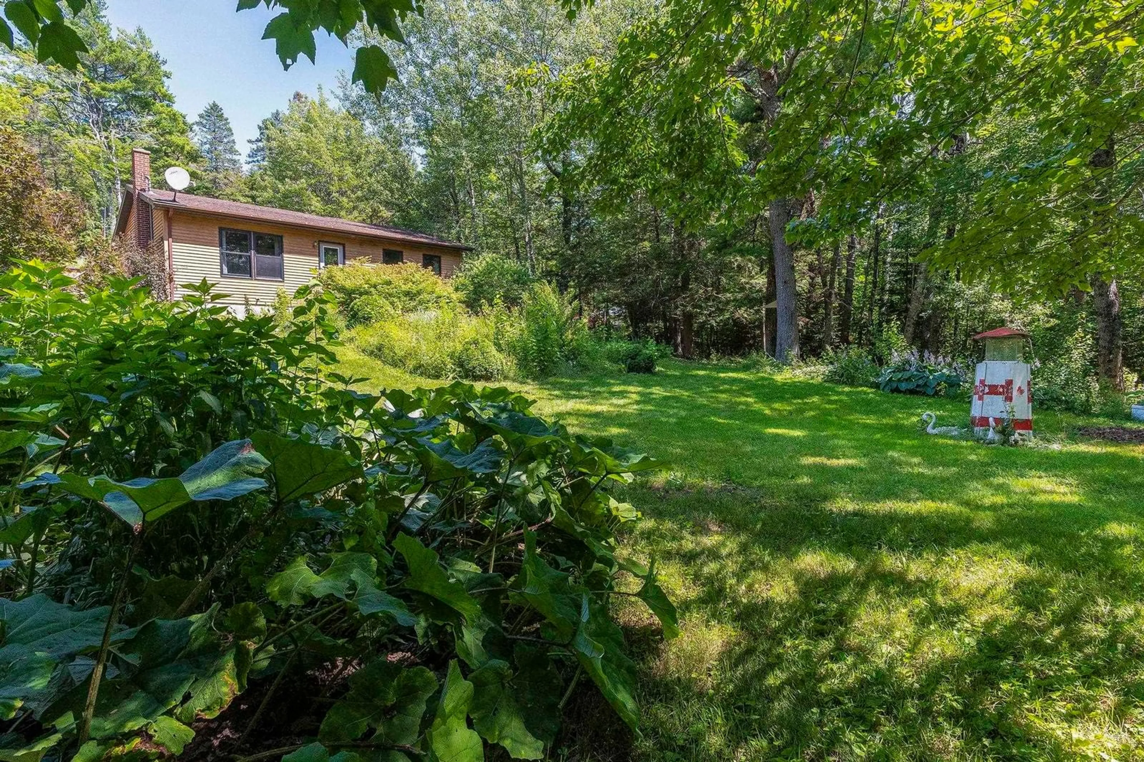 A pic from outside/outdoor area/front of a property/back of a property/a pic from drone, forest/trees view for 258 Trout Lake Road, West Inglisville Nova Scotia B0S 1M0