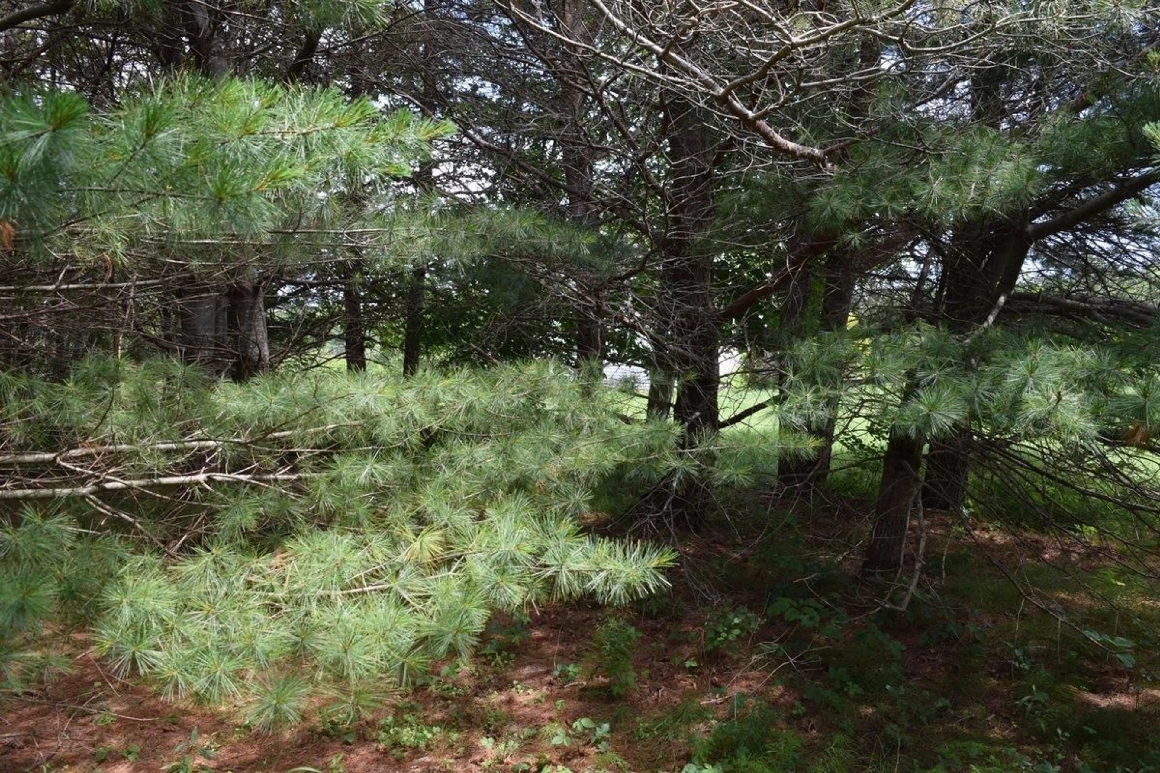 Blurry image for 1419 Portage Rd, Whycocomagh Portage Nova Scotia B0E 3M0