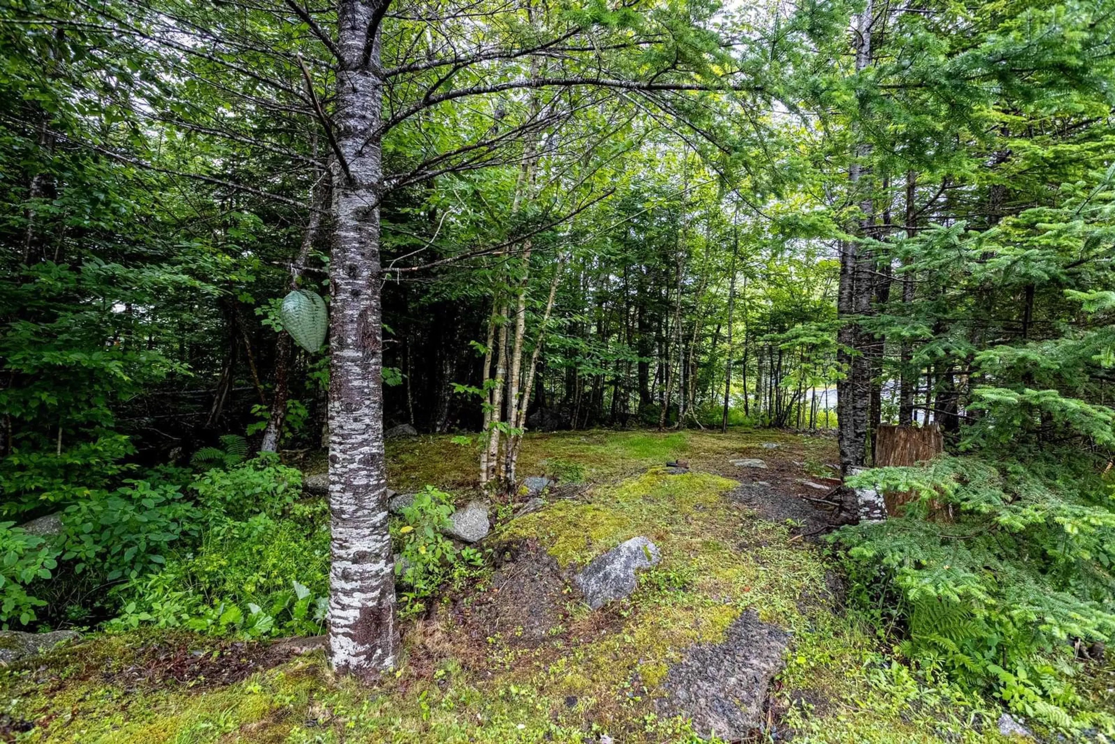 Unknown for 1850 Old Sambro Road, Williamswood Nova Scotia B3V 1B7