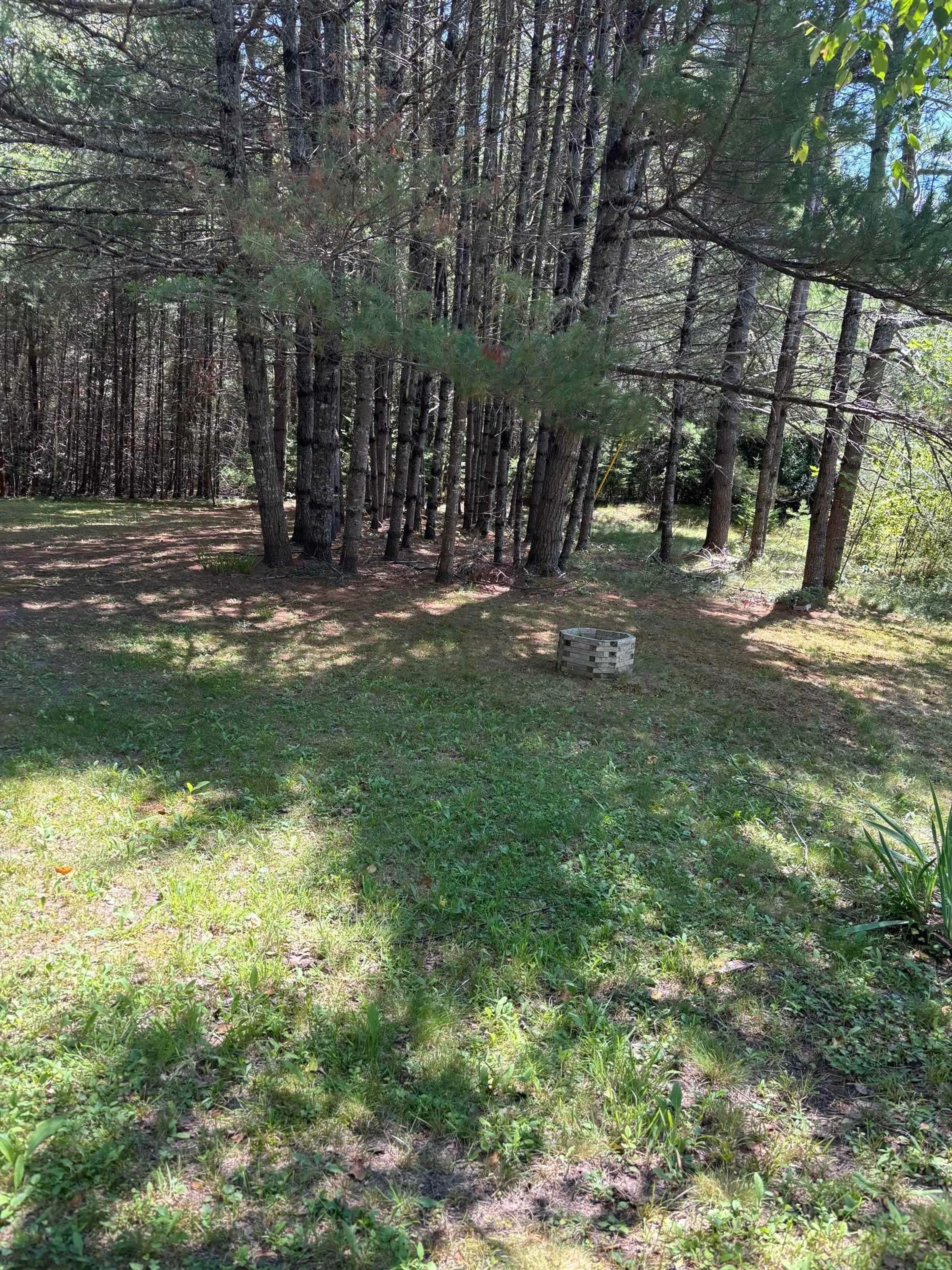 A pic from outside/outdoor area/front of a property/back of a property/a pic from drone, forest/trees view for 2031 East Clifford Rd, East Clifford Nova Scotia B4V 7R9