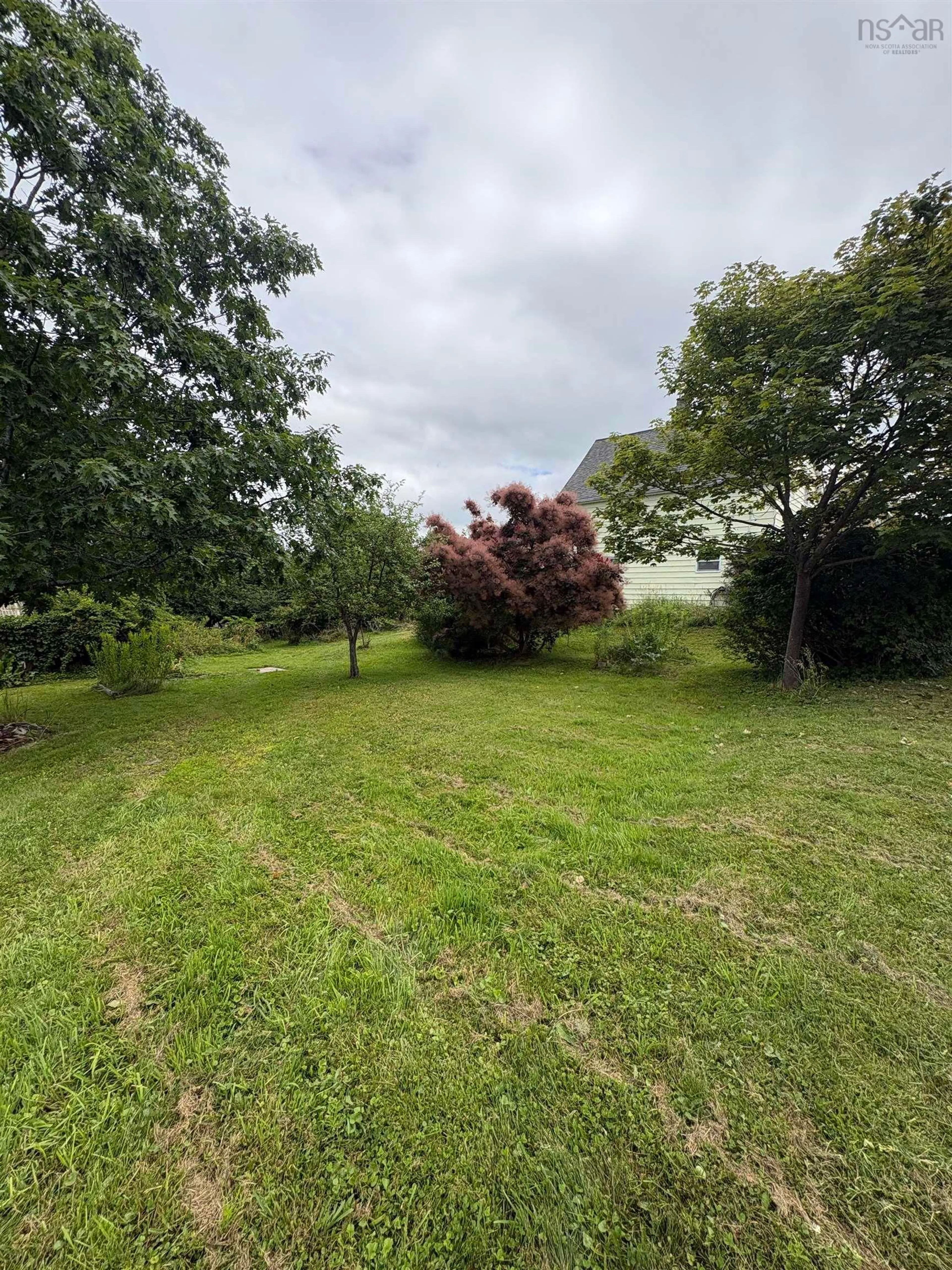 A pic from outside/outdoor area/front of a property/back of a property/a pic from drone, forest/trees view for 37 Rose Ave, Trenton Nova Scotia B0K 1X0