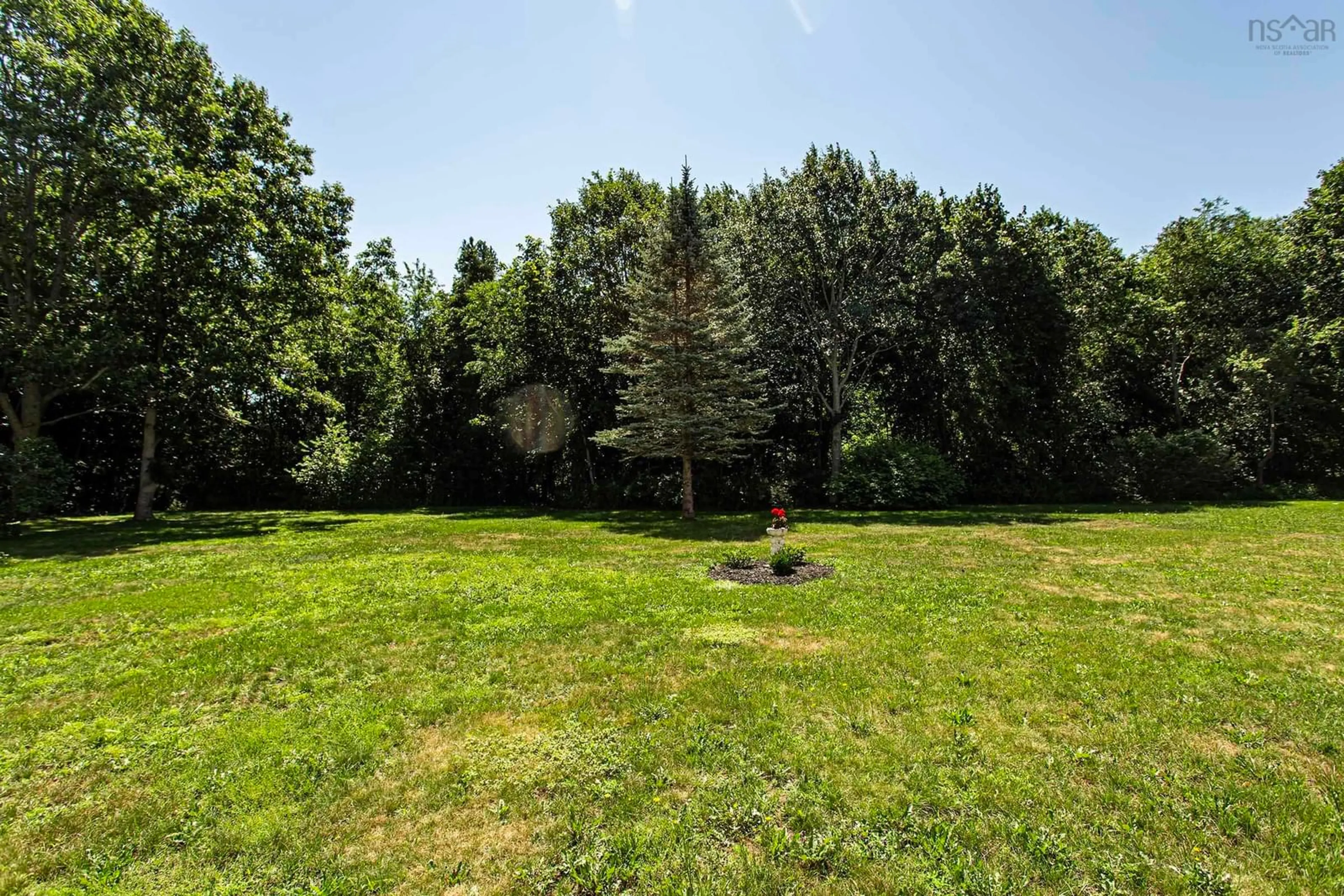 A pic from outside/outdoor area/front of a property/back of a property/a pic from drone, forest/trees view for 20 Connaught Ave, Middleton Nova Scotia B0S 1P0